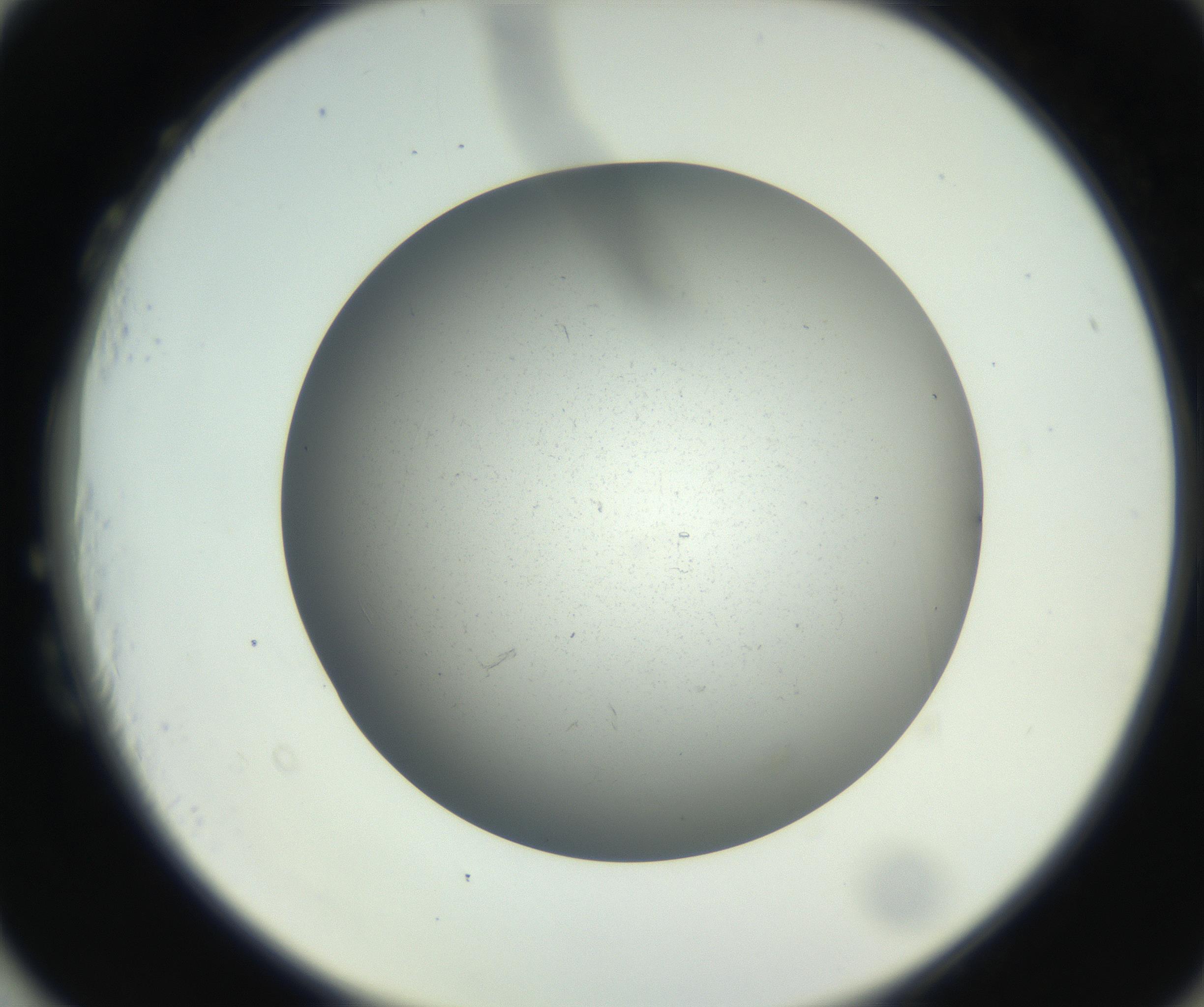 RI01_03_000_0212_Proj1_Clon1_MC_0000MC011202_010_160915_03_08_02_00_99_002_001_RAI.jpg