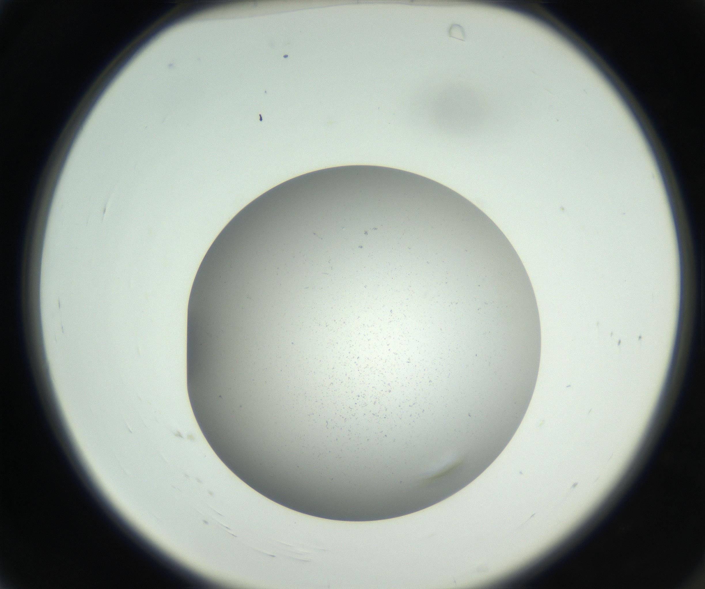 RI01_03_000_0212_Proj1_Clon1_MC_0000MC011202_010_160915_04_01_02_00_99_002_001_RAI.jpg