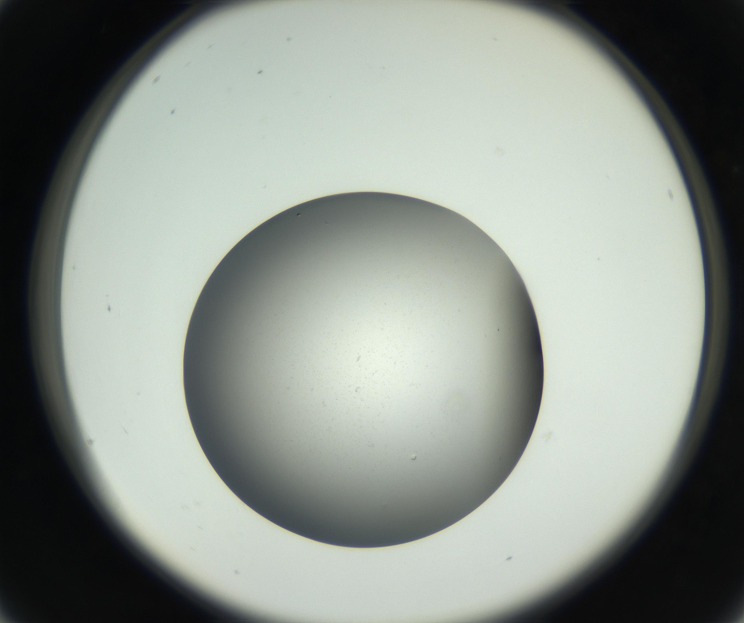 RI01_03_000_0212_Proj1_Clon1_MC_0000MC011202_010_160915_04_02_02_00_99_002_001_RAI.jpg