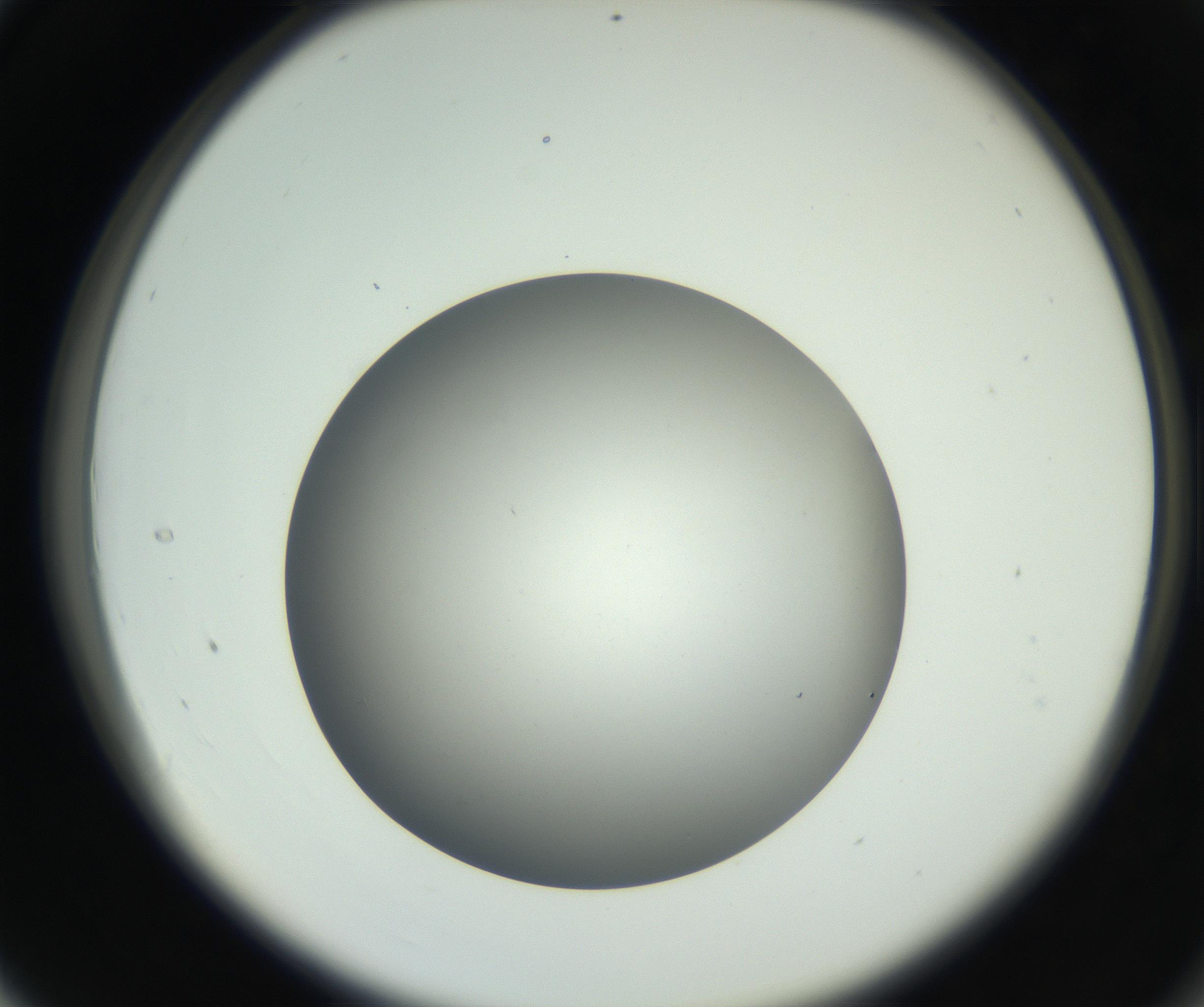 RI01_03_000_0212_Proj1_Clon1_MC_0000MC011202_010_160915_04_03_02_00_99_002_001_RAI.jpg