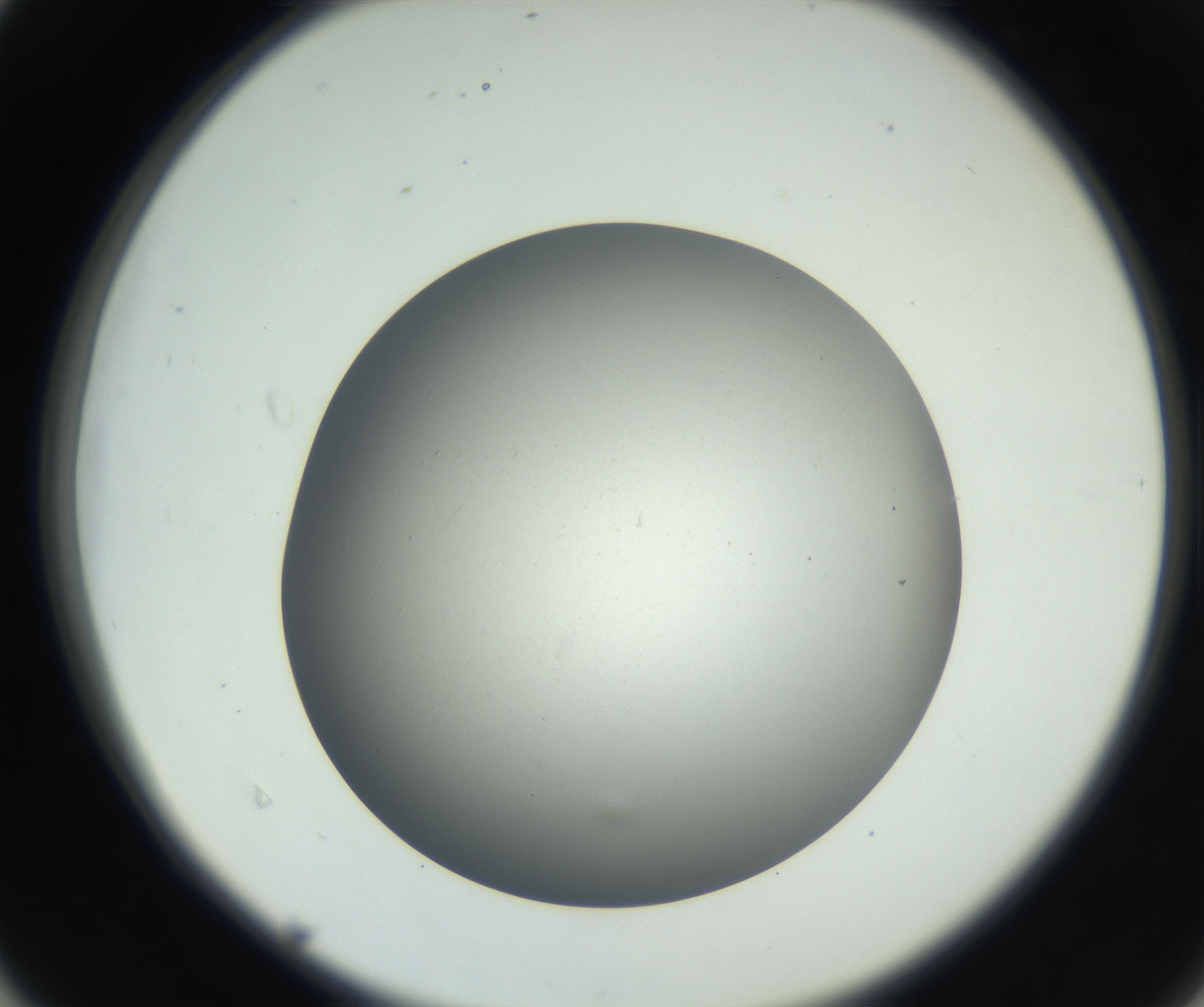 RI01_03_000_0212_Proj1_Clon1_MC_0000MC011202_010_160915_04_04_02_00_99_002_001_RAI.jpg
