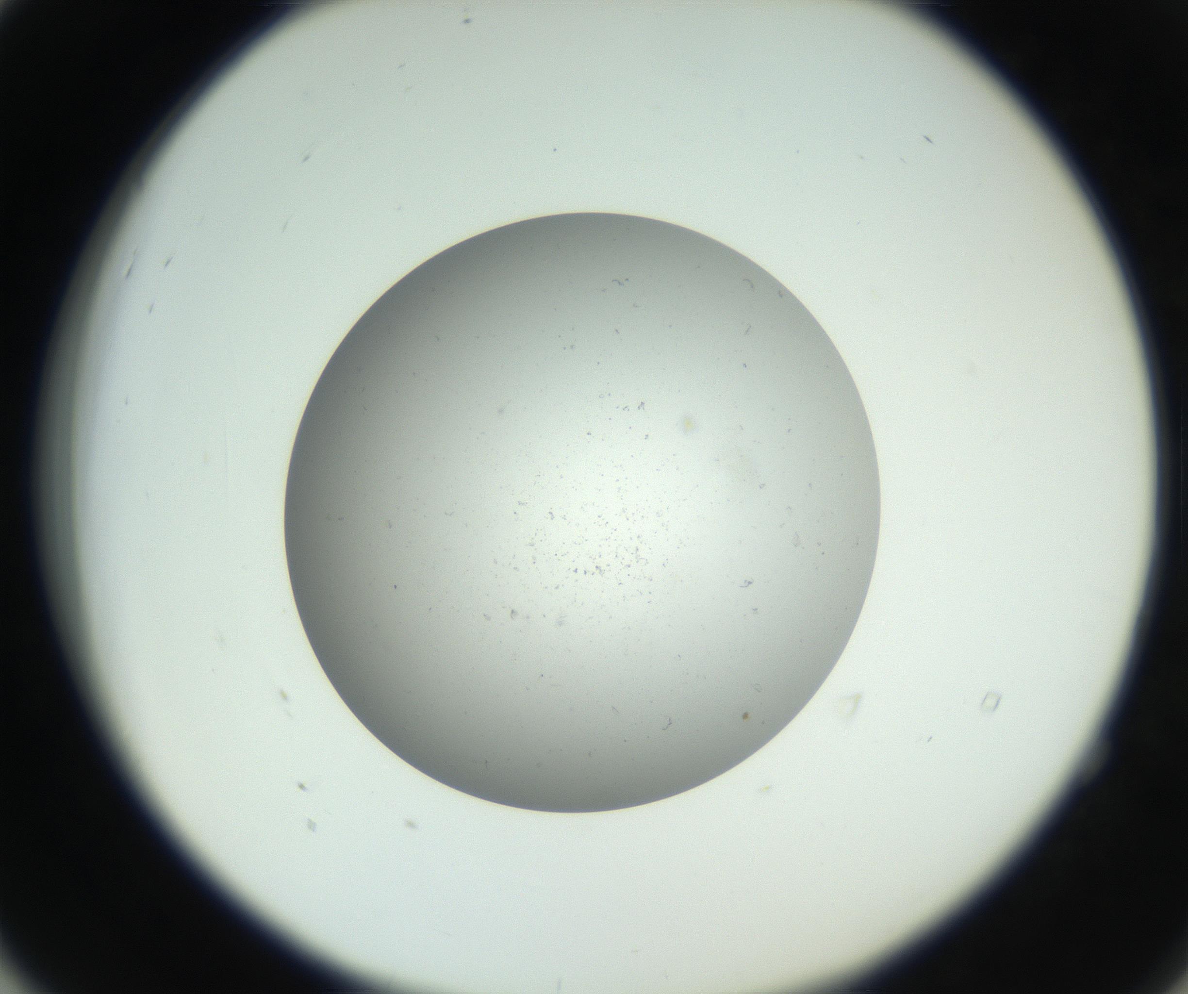 RI01_03_000_0212_Proj1_Clon1_MC_0000MC011202_010_160915_04_05_02_00_99_002_001_RAI.jpg