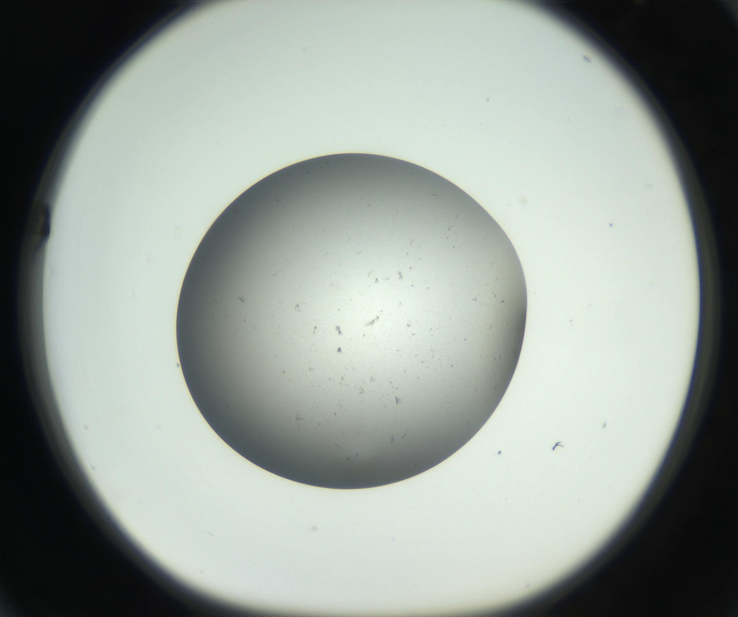 RI01_03_000_0212_Proj1_Clon1_MC_0000MC011202_010_160915_04_06_01_00_99_002_001_RAI.jpg