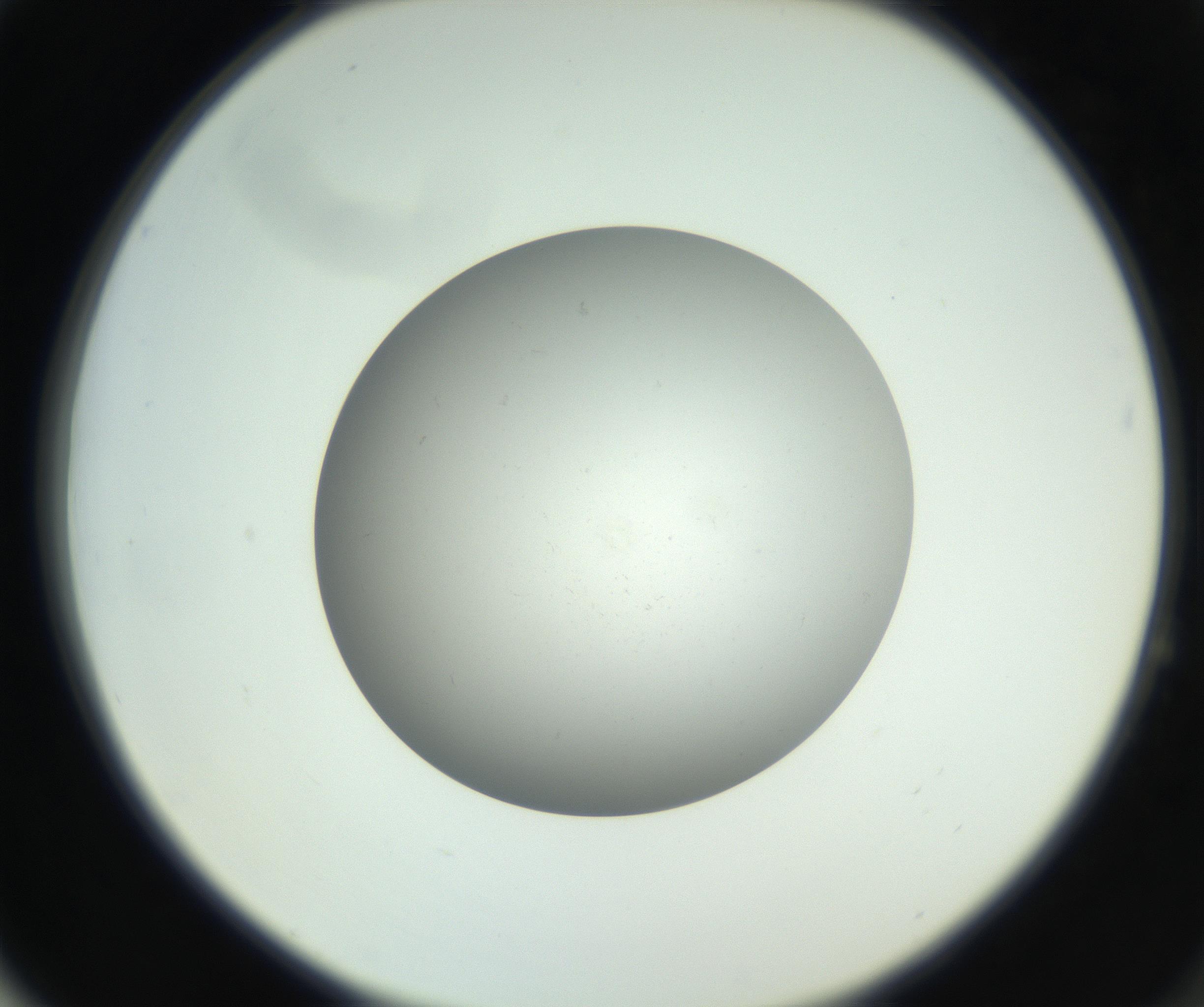 RI01_03_000_0212_Proj1_Clon1_MC_0000MC011202_010_160915_04_06_02_00_99_002_001_RAI.jpg