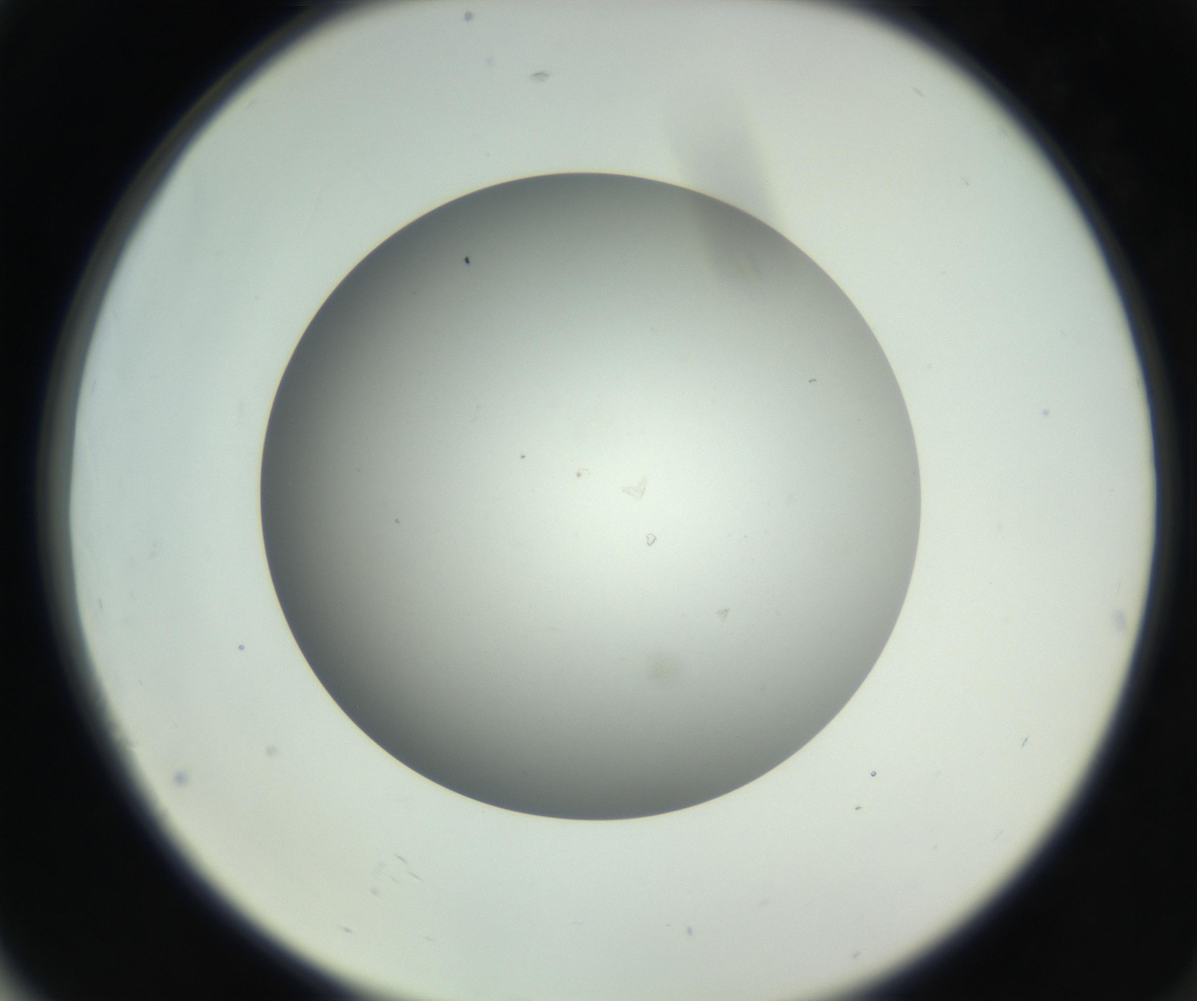 RI01_03_000_0212_Proj1_Clon1_MC_0000MC011202_010_160915_04_07_02_00_99_002_001_RAI.jpg