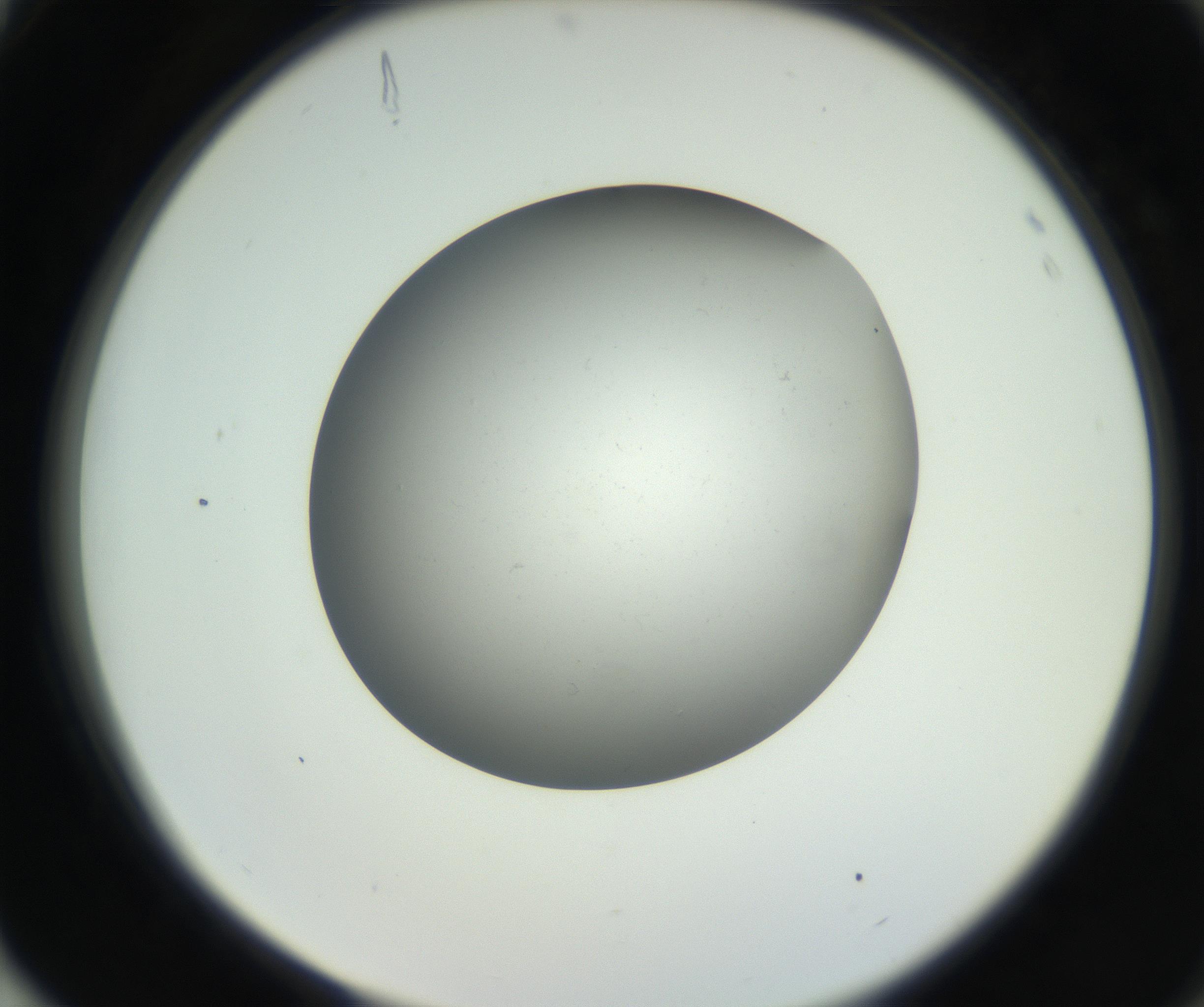 RI01_03_000_0212_Proj1_Clon1_MC_0000MC011202_010_160915_04_08_02_00_99_002_001_RAI.jpg