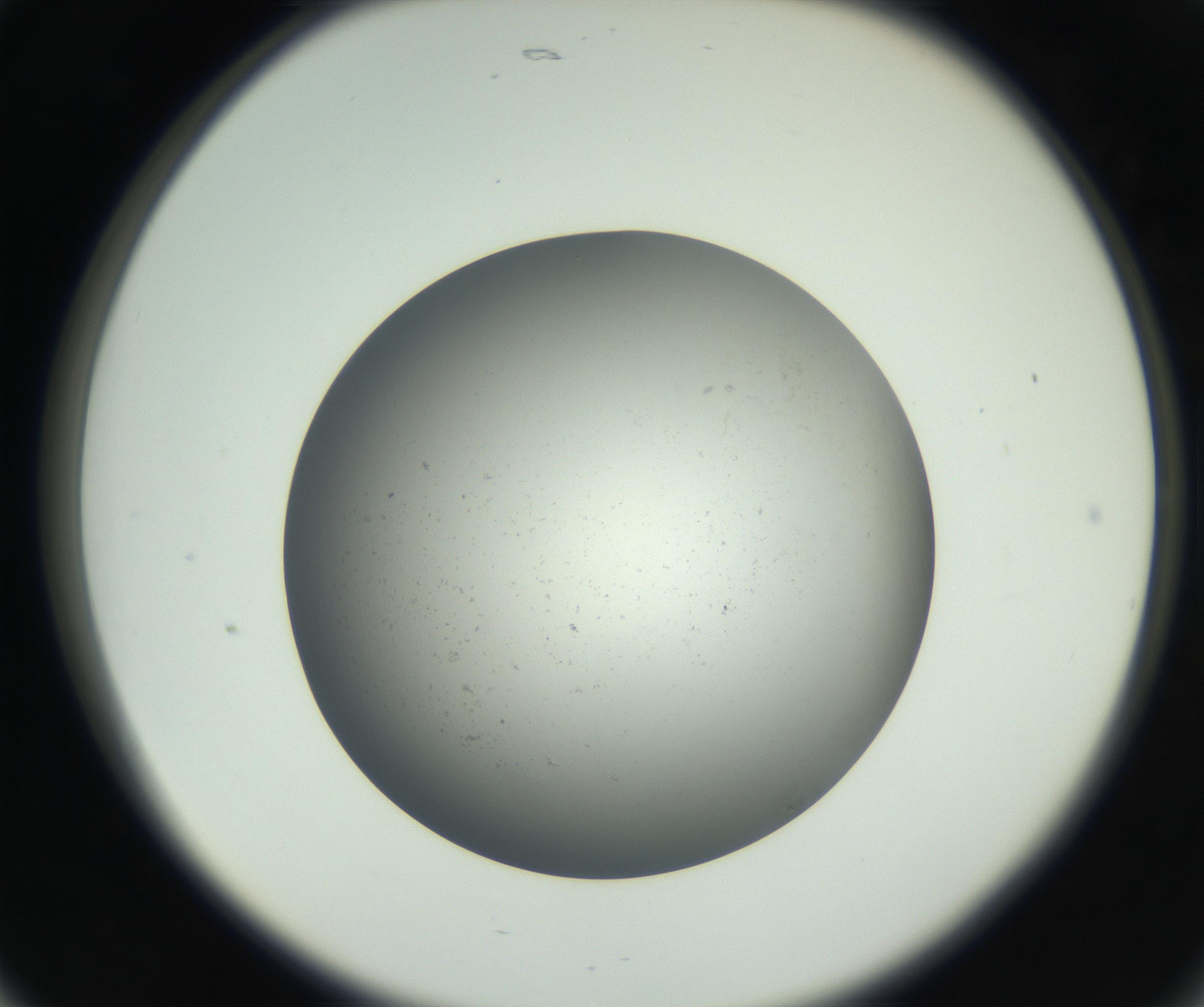 RI01_03_000_0212_Proj1_Clon1_MC_0000MC011202_010_160915_05_02_02_00_99_002_001_RAI.jpg