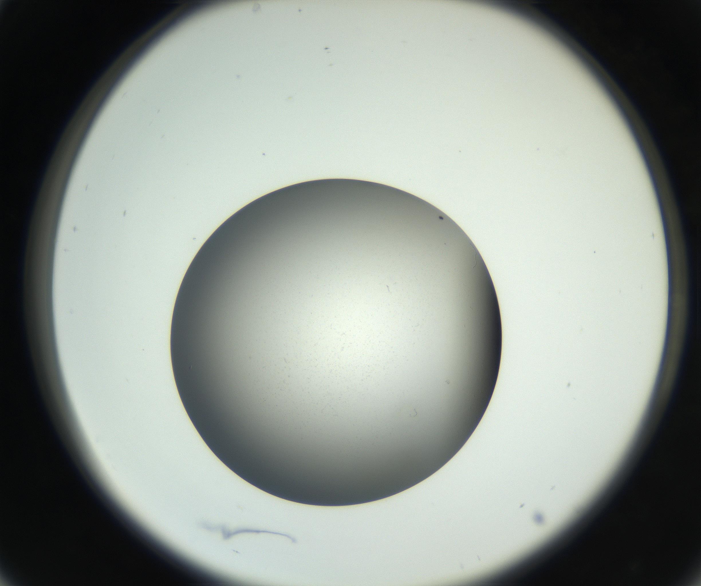 RI01_03_000_0212_Proj1_Clon1_MC_0000MC011202_010_160915_05_03_02_00_99_002_001_RAI.jpg