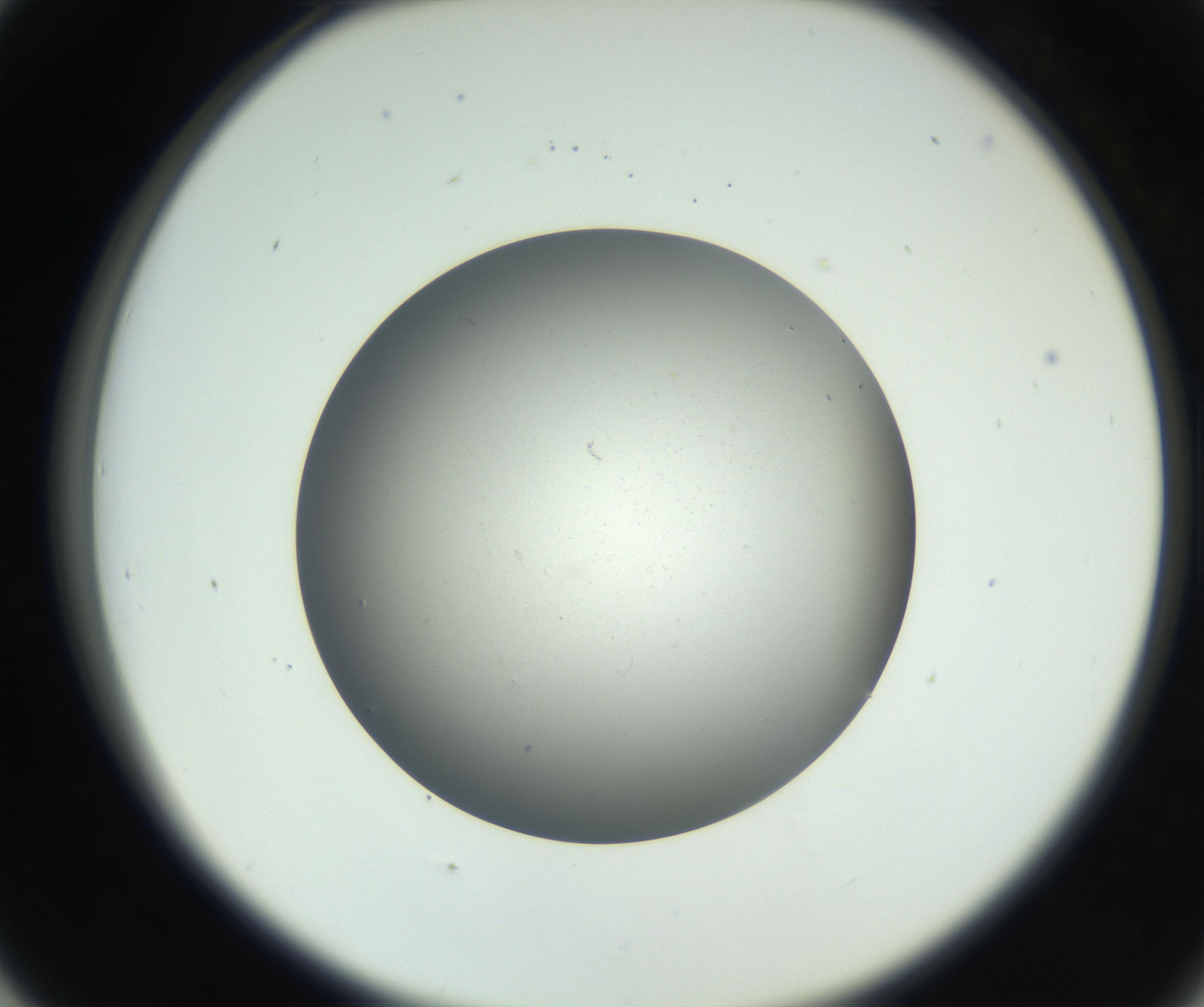 RI01_03_000_0212_Proj1_Clon1_MC_0000MC011202_010_160915_05_04_02_00_99_002_001_RAI.jpg
