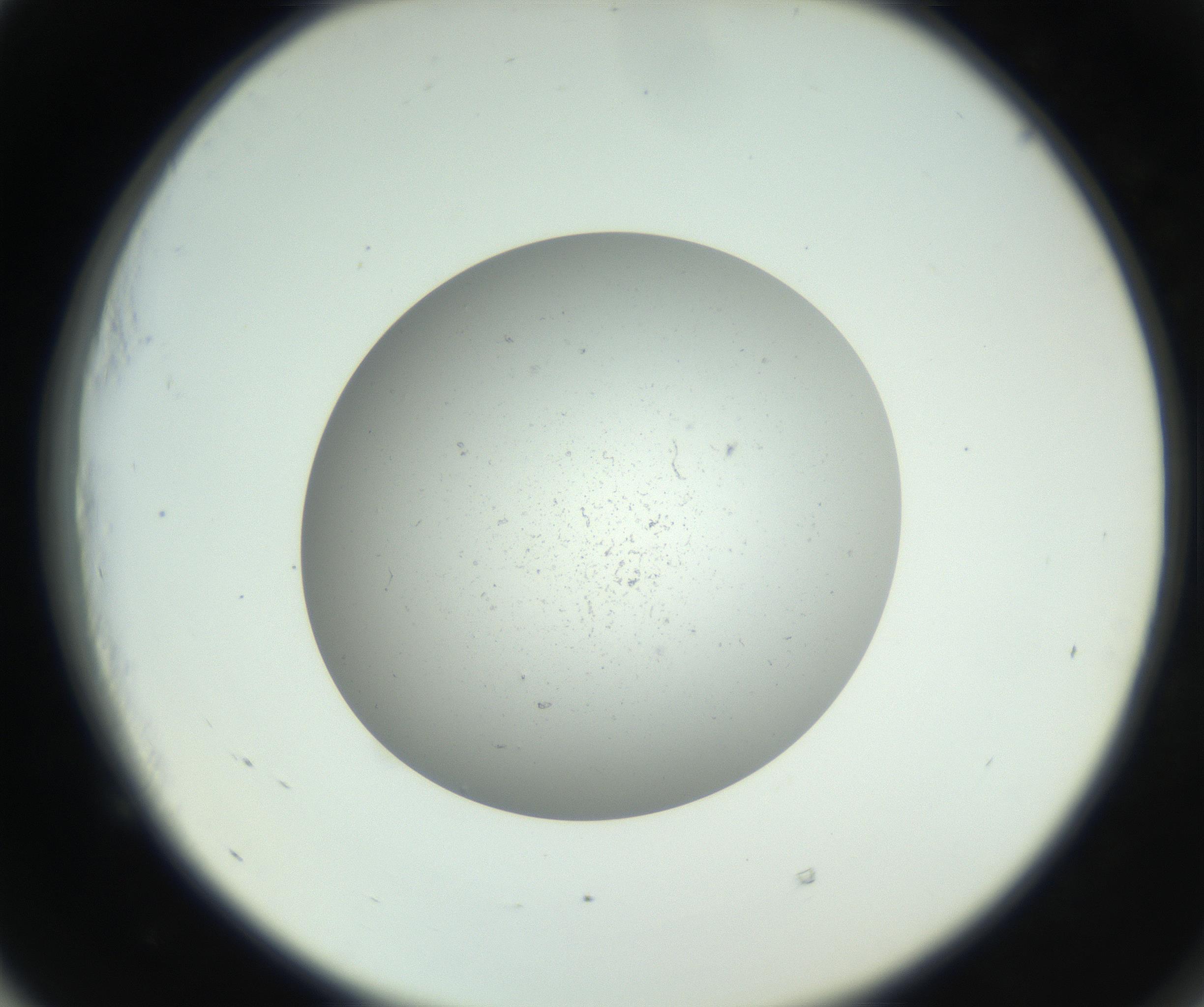 RI01_03_000_0212_Proj1_Clon1_MC_0000MC011202_010_160915_05_05_02_00_99_002_001_RAI.jpg