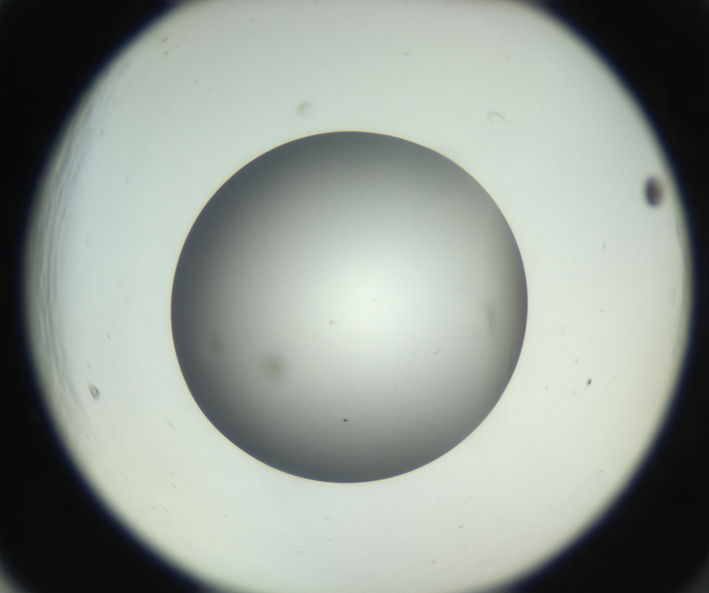 RI01_03_000_0212_Proj1_Clon1_MC_0000MC011202_010_160915_05_06_02_00_99_002_001_RAI.jpg