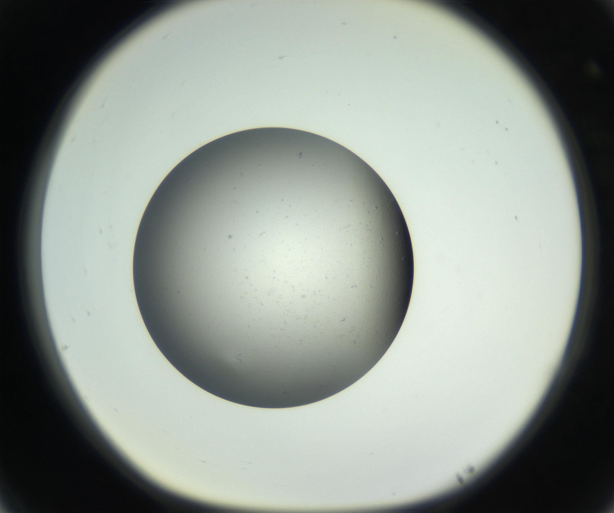RI01_03_000_0212_Proj1_Clon1_MC_0000MC011202_010_160915_05_07_01_00_99_002_001_RAI.jpg