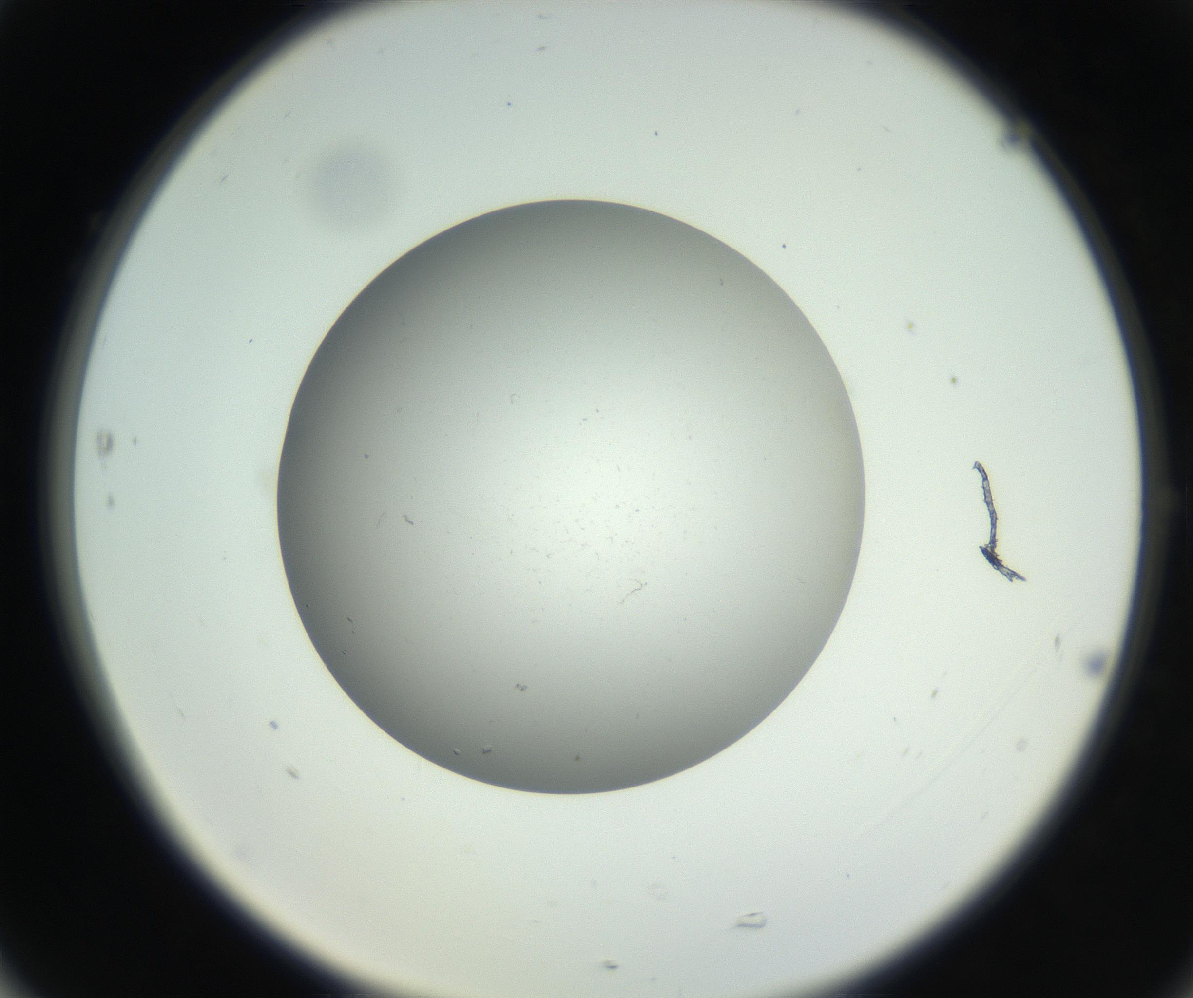 RI01_03_000_0212_Proj1_Clon1_MC_0000MC011202_010_160915_05_07_02_00_99_002_001_RAI.jpg