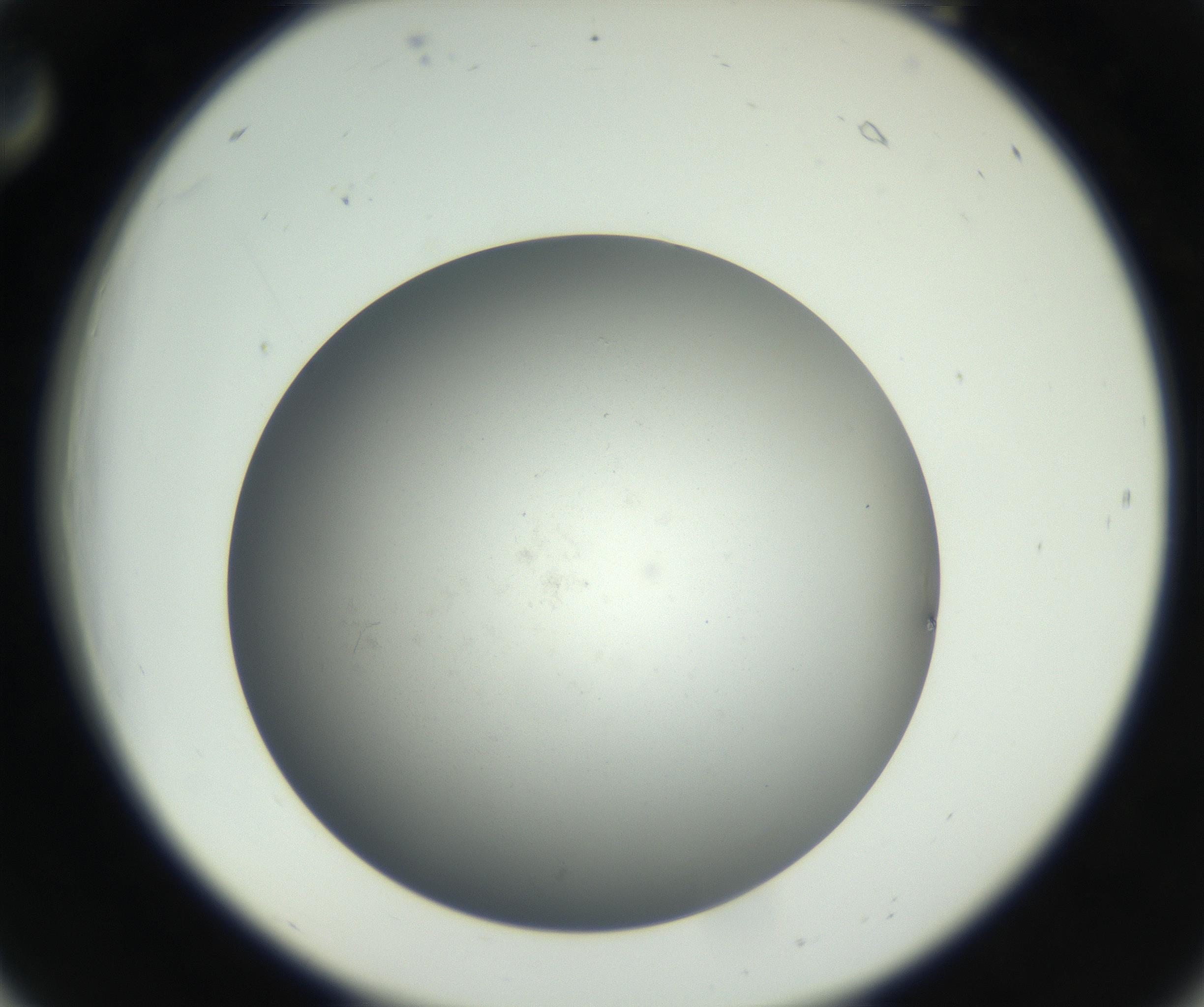 RI01_03_000_0212_Proj1_Clon1_MC_0000MC011202_010_160915_06_02_02_00_99_002_001_RAI.jpg