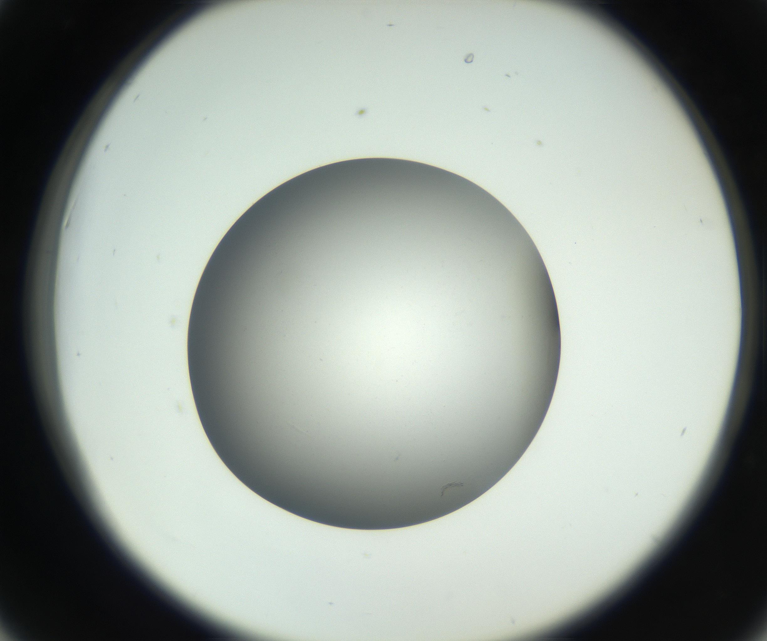 RI01_03_000_0212_Proj1_Clon1_MC_0000MC011202_010_160915_06_04_02_00_99_002_001_RAI.jpg