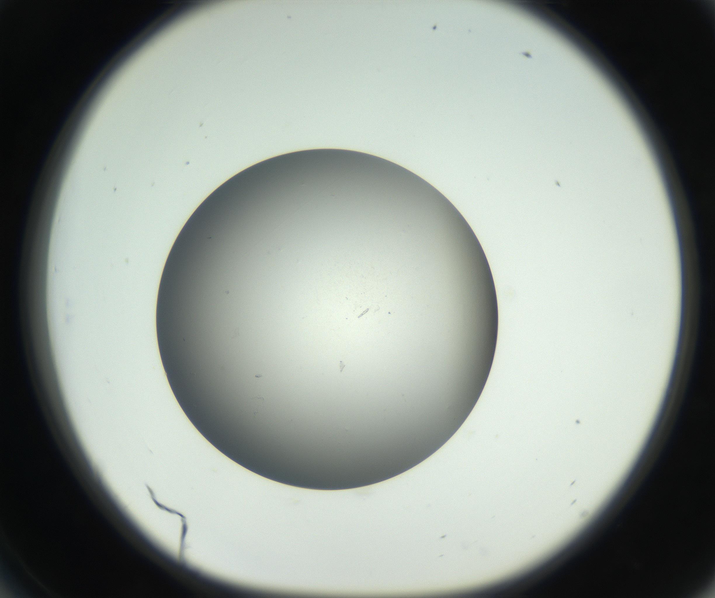 RI01_03_000_0212_Proj1_Clon1_MC_0000MC011202_010_160915_06_05_01_00_99_002_001_RAI.jpg