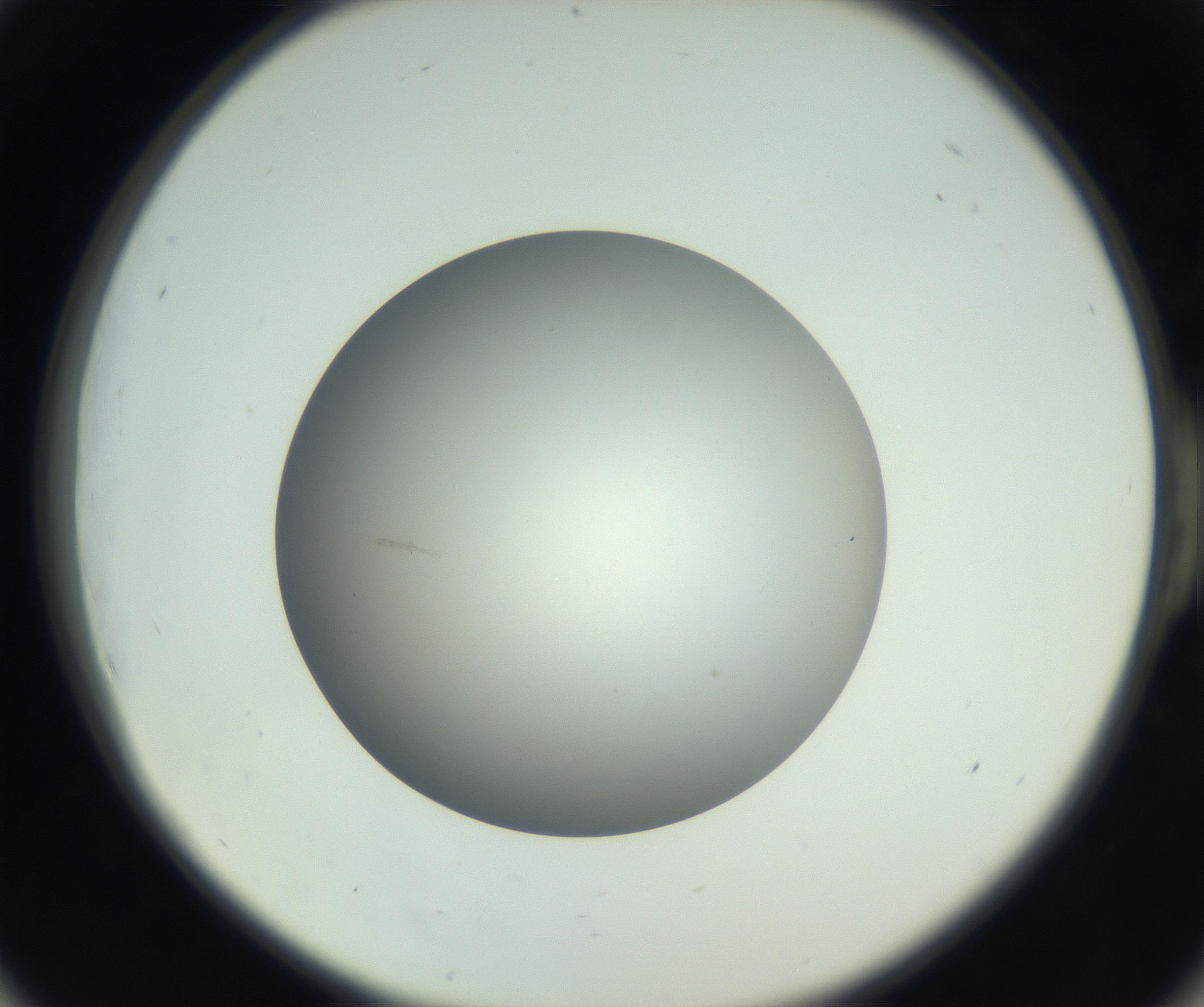 RI01_03_000_0212_Proj1_Clon1_MC_0000MC011202_010_160915_06_05_02_00_99_002_001_RAI.jpg