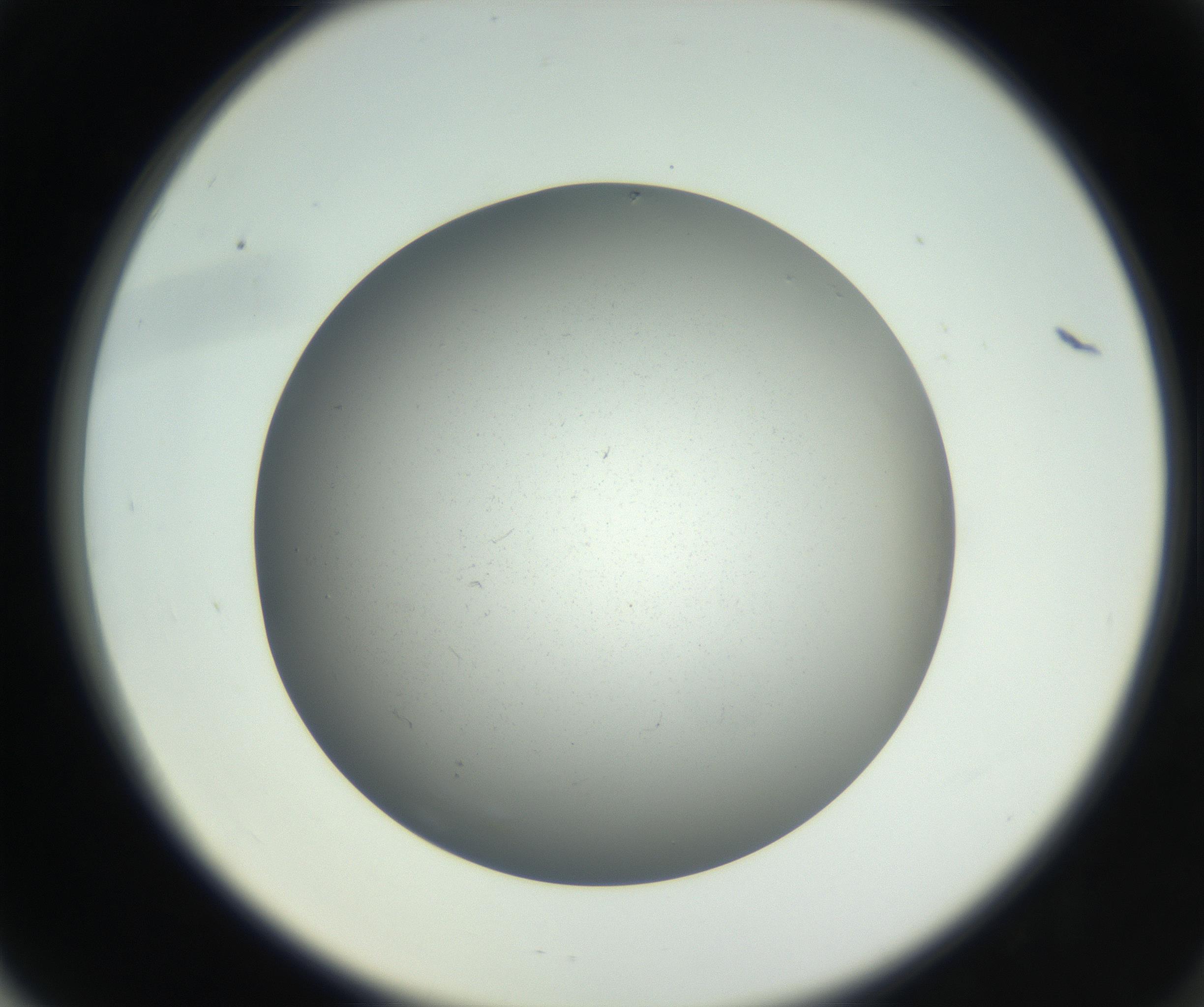 RI01_03_000_0212_Proj1_Clon1_MC_0000MC011202_010_160915_06_06_02_00_99_002_001_RAI.jpg