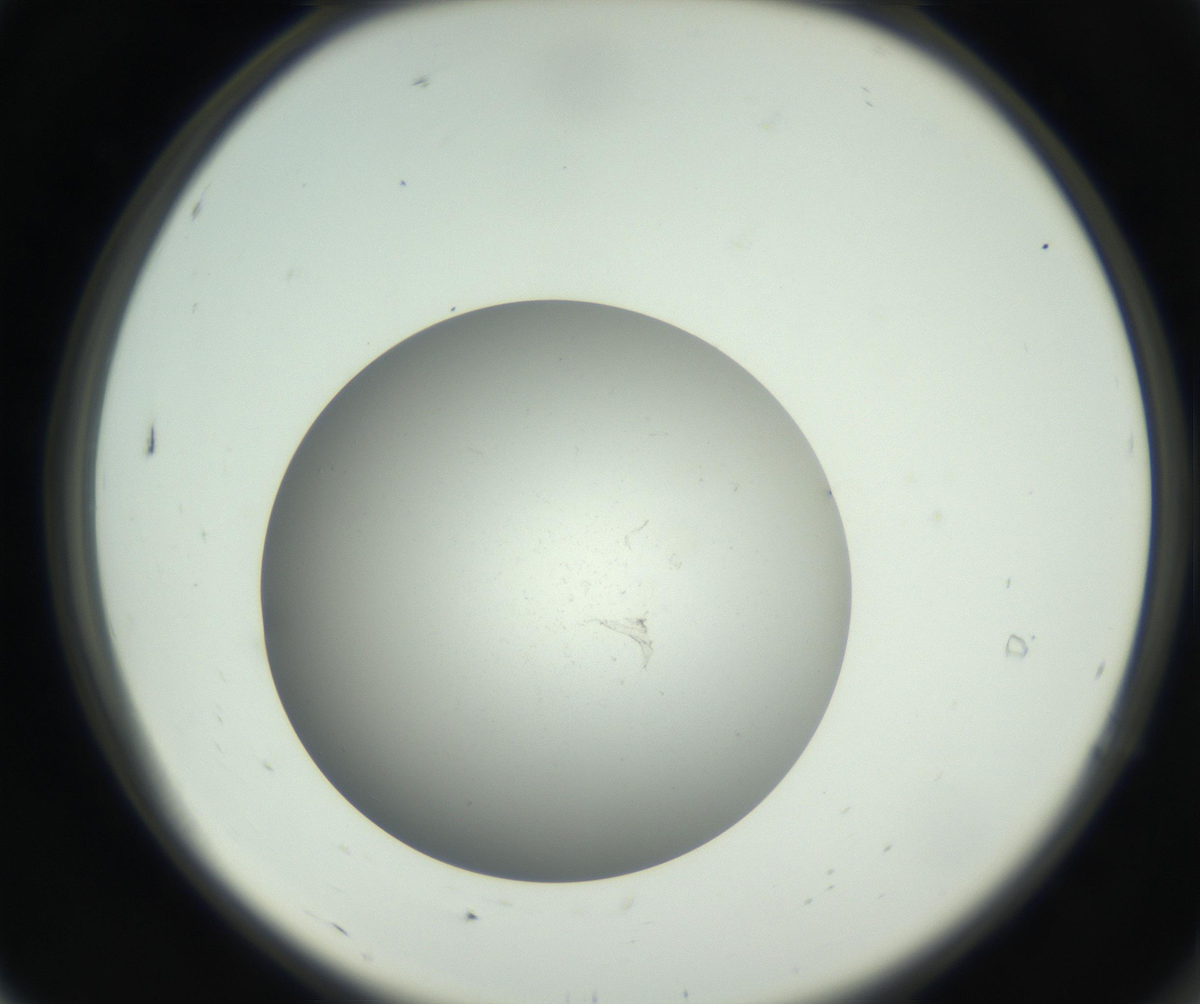 RI01_03_000_0212_Proj1_Clon1_MC_0000MC011202_010_160915_07_01_02_00_99_002_001_RAI.jpg