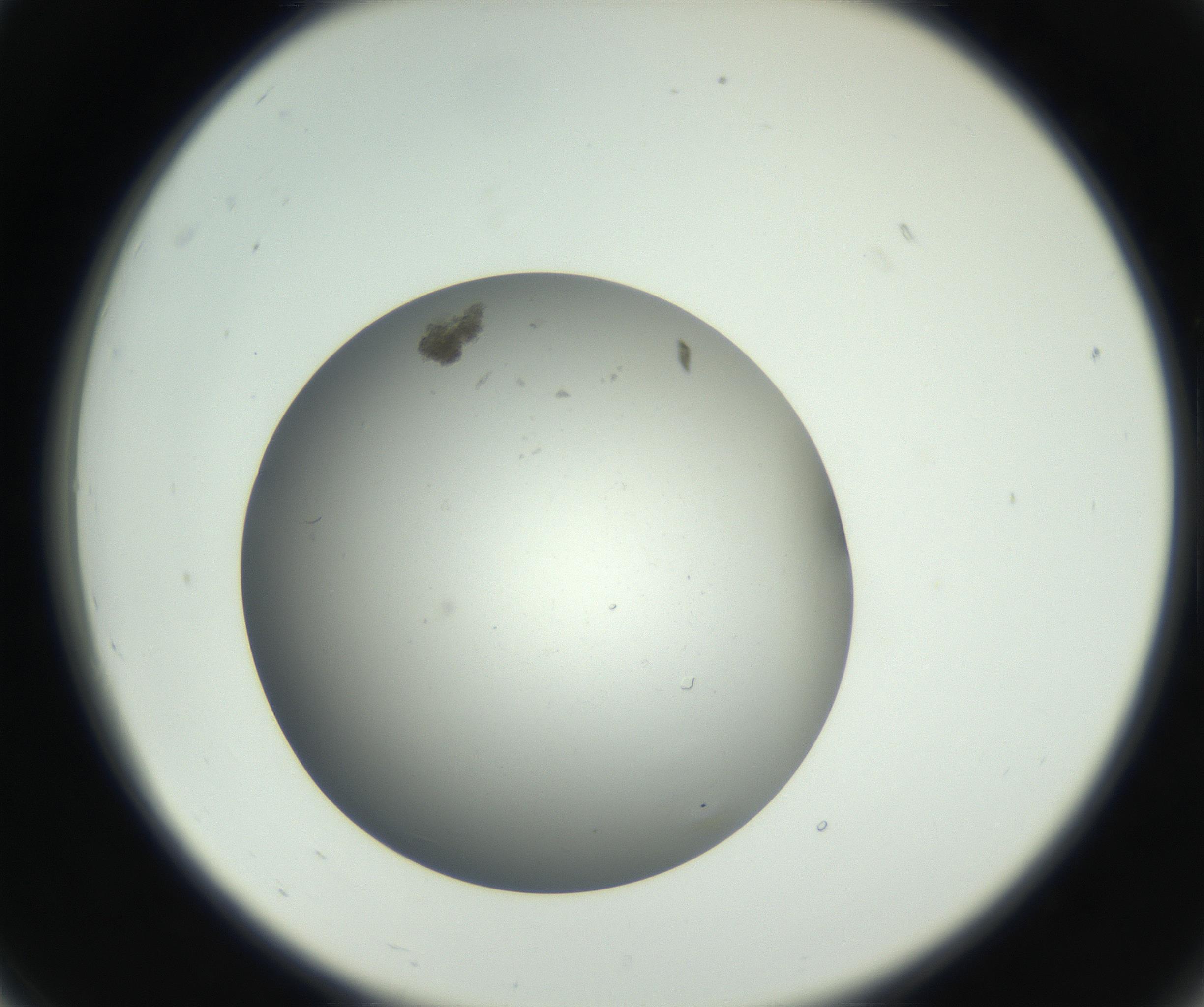 RI01_03_000_0212_Proj1_Clon1_MC_0000MC011202_010_160915_07_02_02_00_99_002_001_RAI.jpg