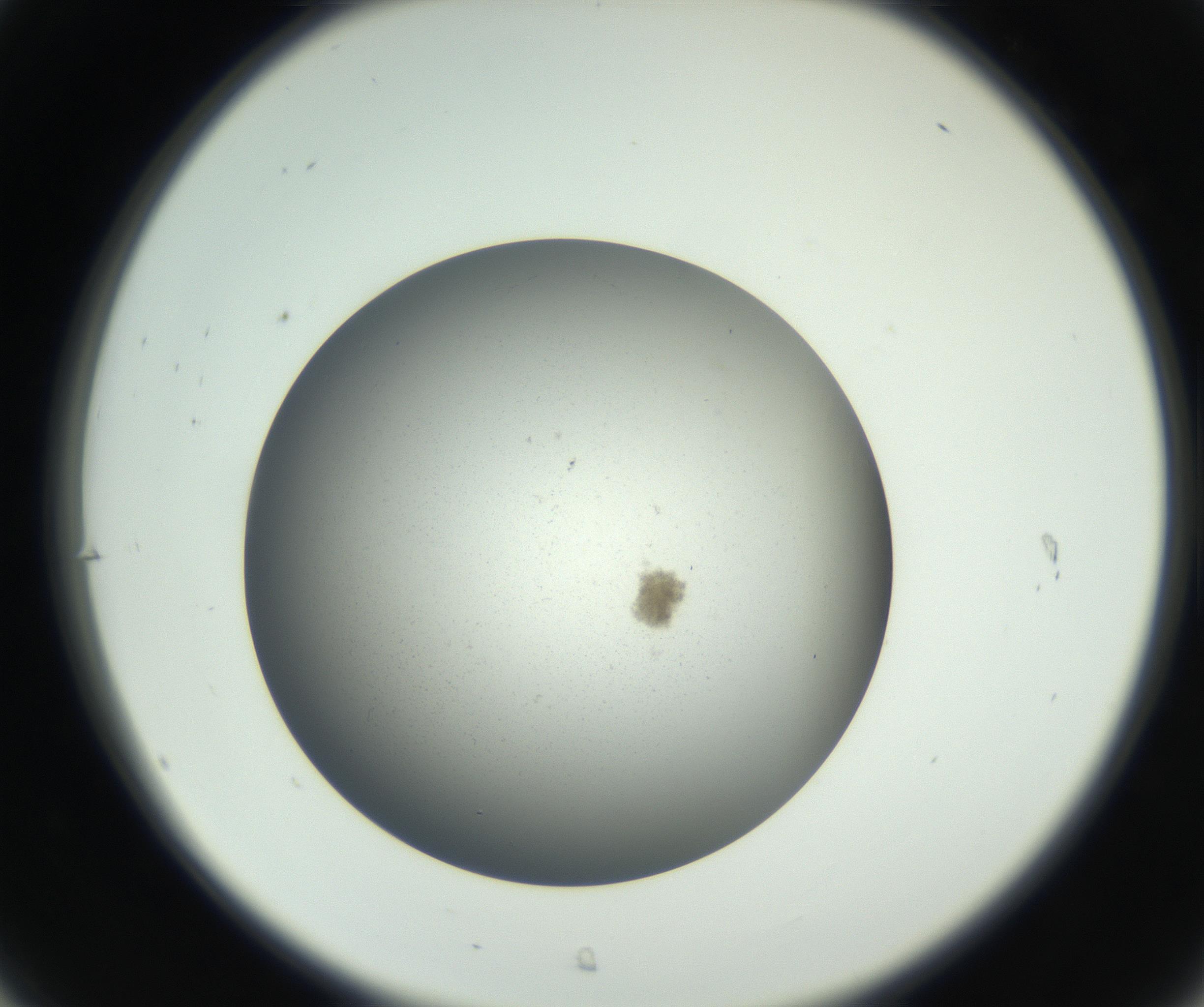 RI01_03_000_0212_Proj1_Clon1_MC_0000MC011202_010_160915_07_03_02_00_99_002_001_RAI.jpg