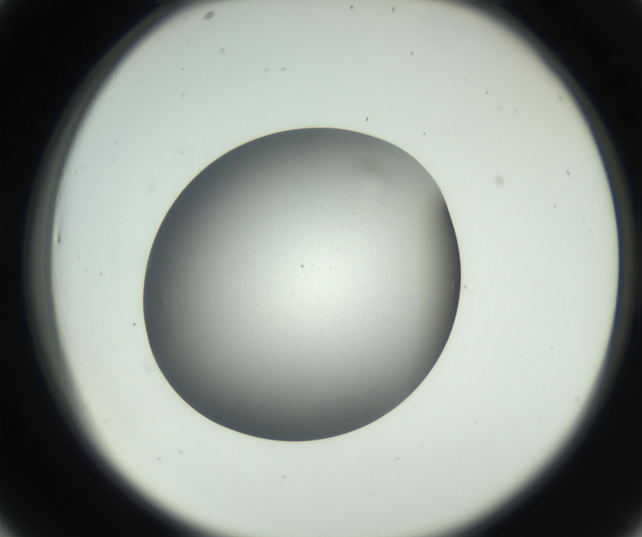 RI01_03_000_0212_Proj1_Clon1_MC_0000MC011202_010_160915_07_04_02_00_99_002_001_RAI.jpg
