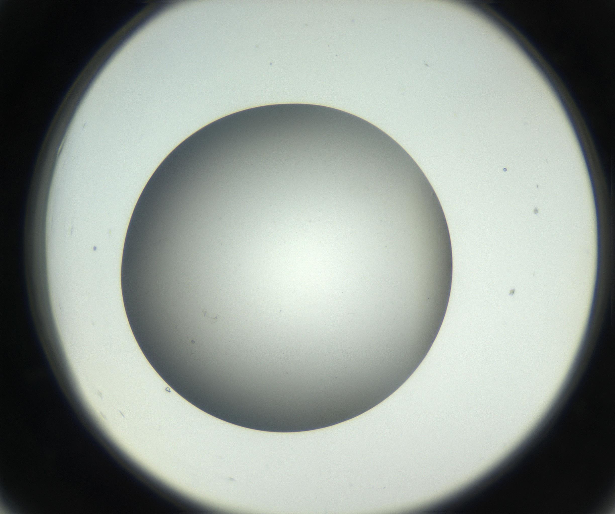 RI01_03_000_0212_Proj1_Clon1_MC_0000MC011202_010_160915_07_05_02_00_99_002_001_RAI.jpg