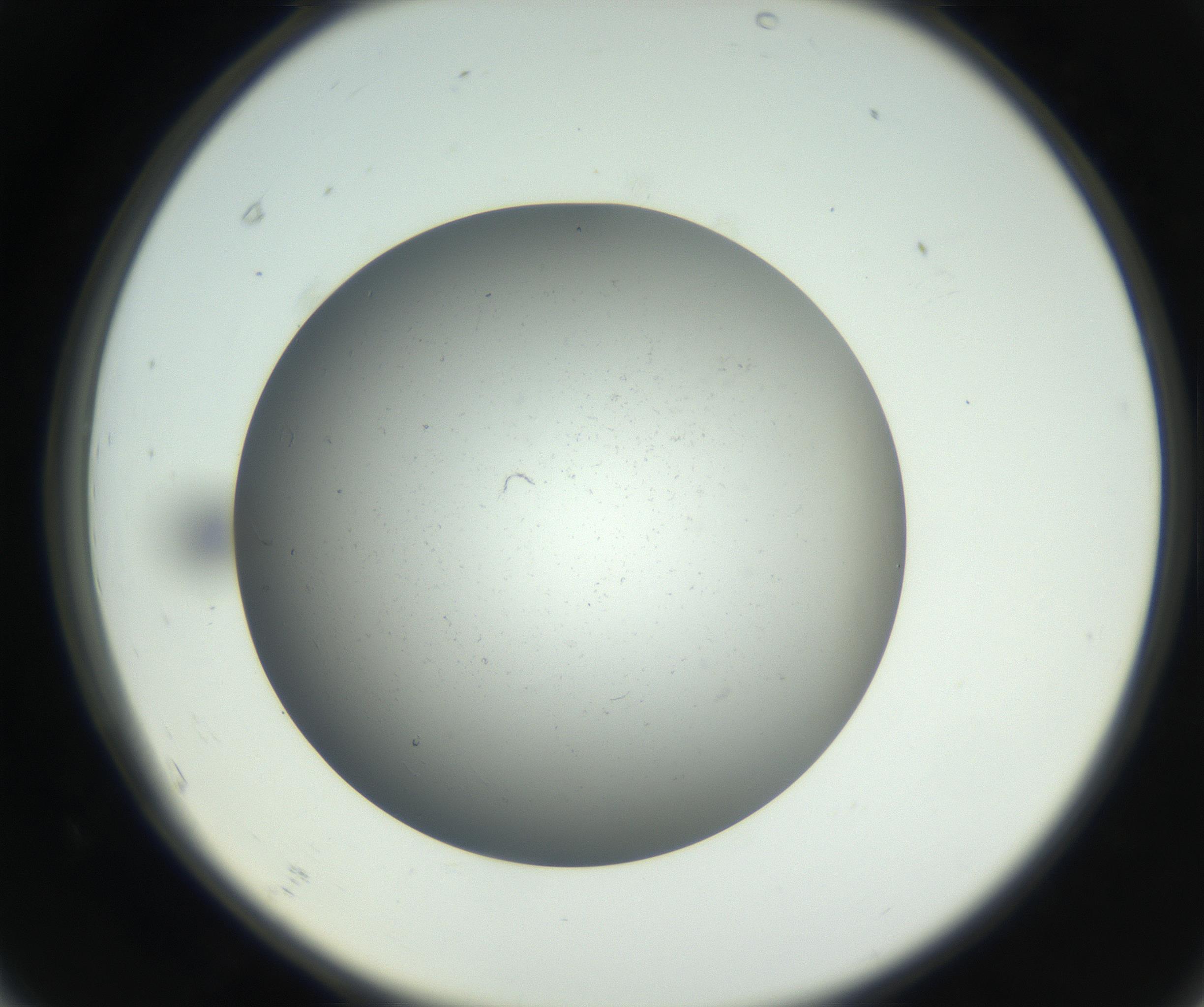 RI01_03_000_0212_Proj1_Clon1_MC_0000MC011202_010_160915_07_06_02_00_99_002_001_RAI.jpg