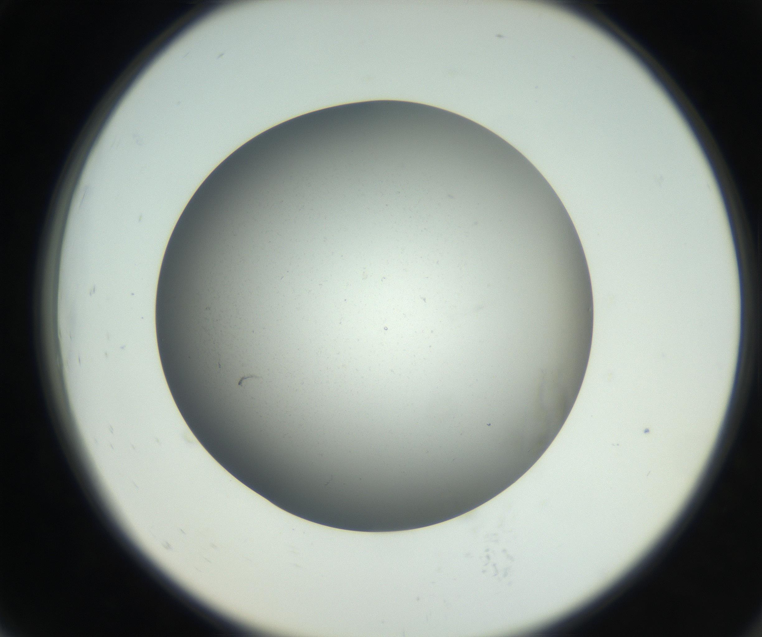 RI01_03_000_0212_Proj1_Clon1_MC_0000MC011202_010_160915_07_07_02_00_99_002_001_RAI.jpg