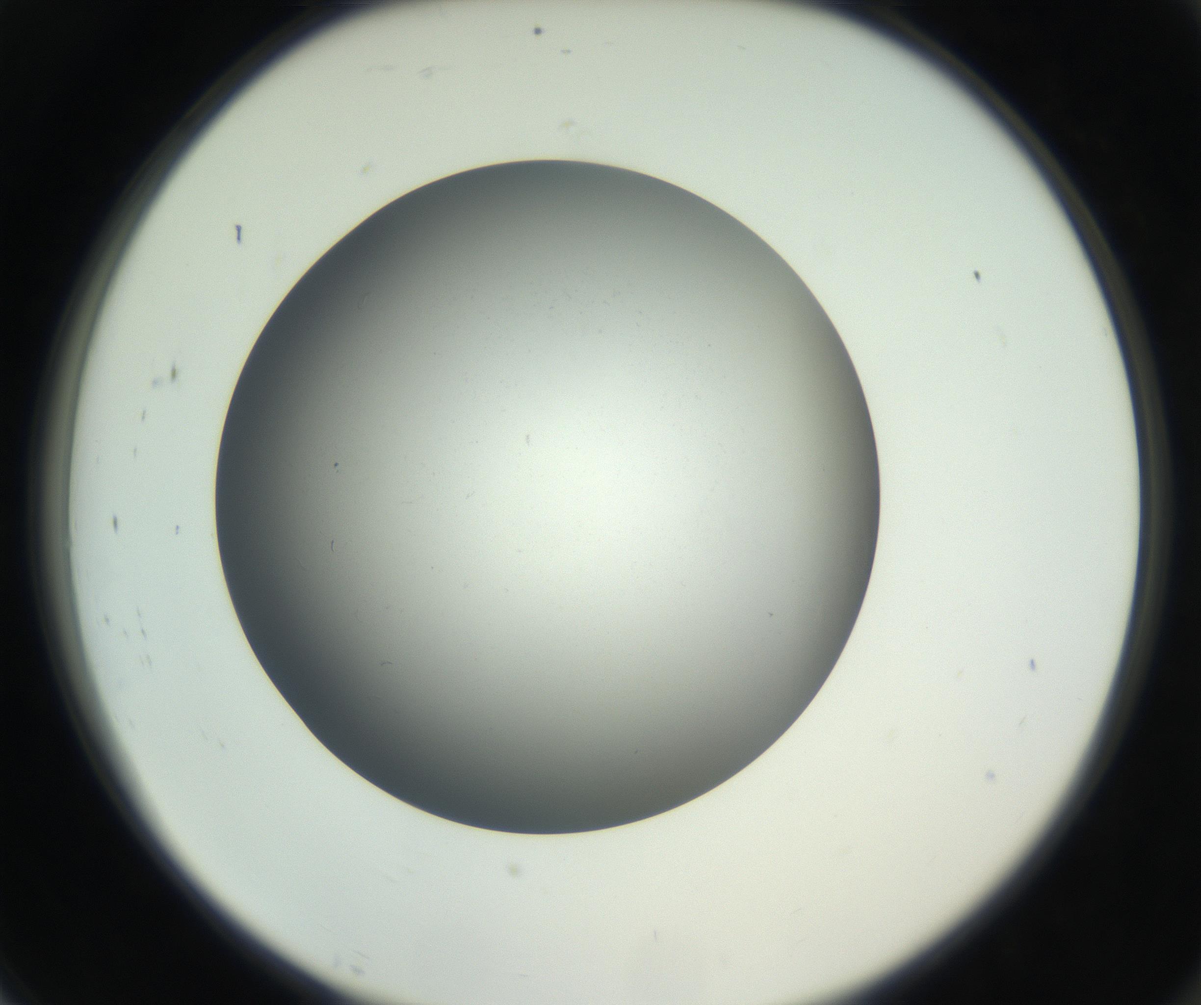 RI01_03_000_0212_Proj1_Clon1_MC_0000MC011202_010_160915_07_08_02_00_99_002_001_RAI.jpg