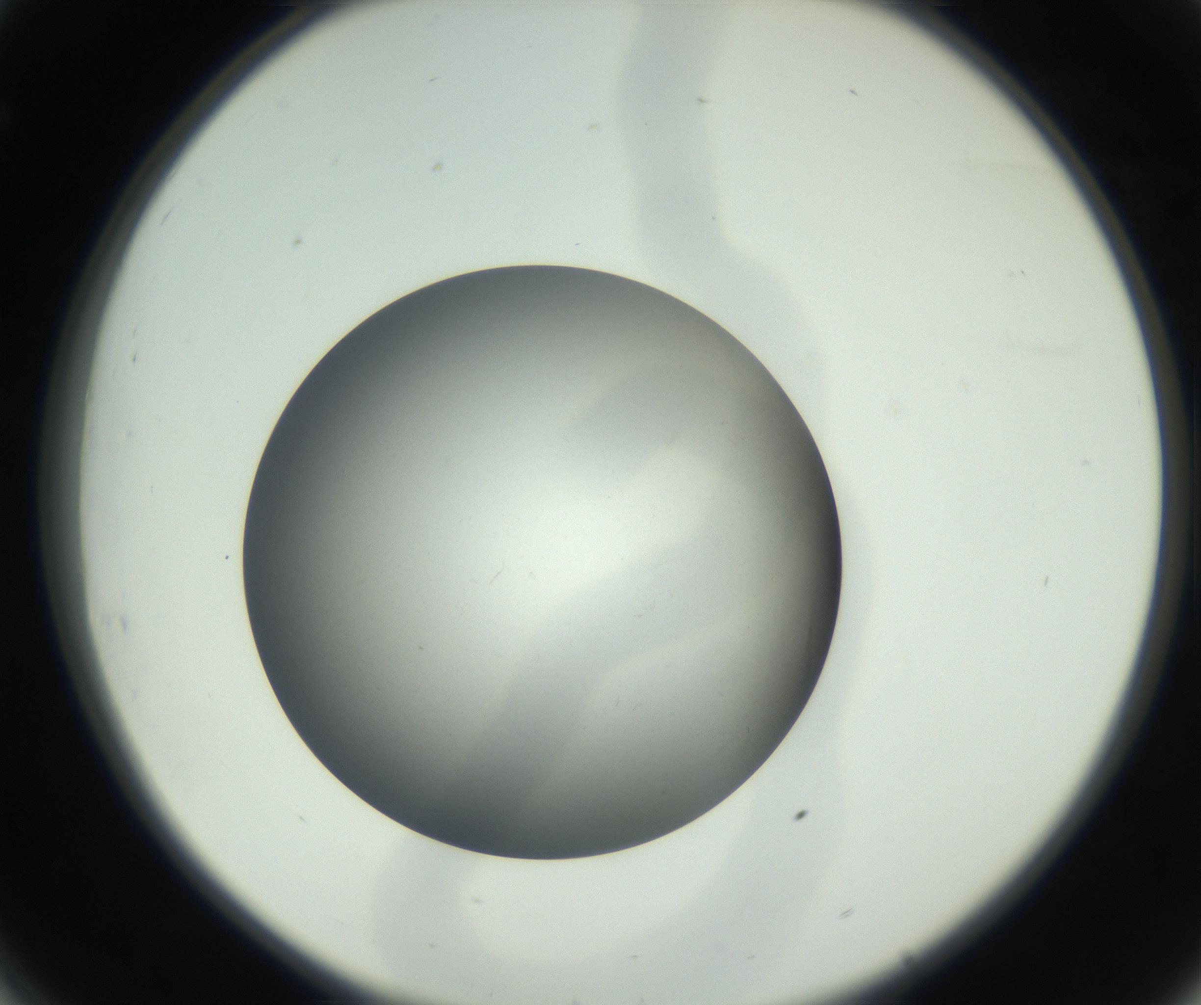 RI01_03_000_0212_Proj1_Clon1_MC_0000MC011202_010_160915_08_03_02_00_99_002_001_RAI.jpg