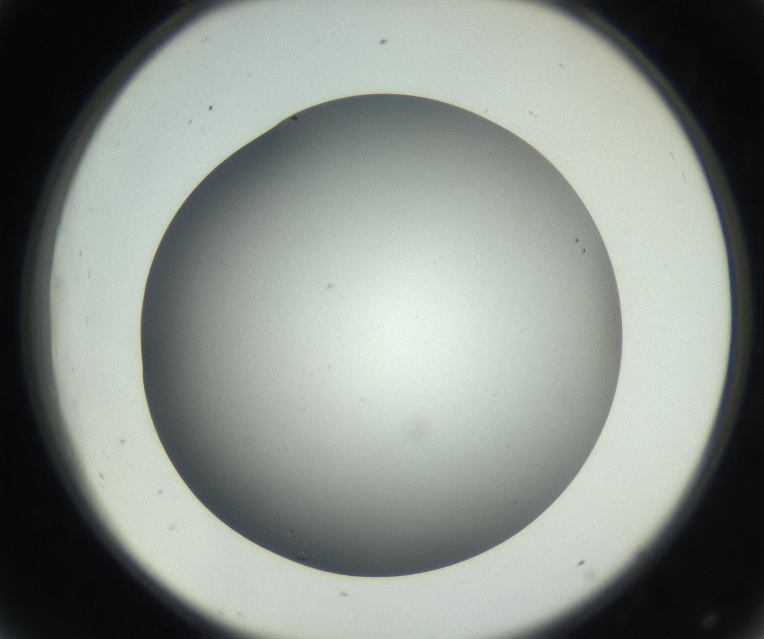 RI01_03_000_0212_Proj1_Clon1_MC_0000MC011202_010_160915_08_04_02_00_99_002_001_RAI.jpg