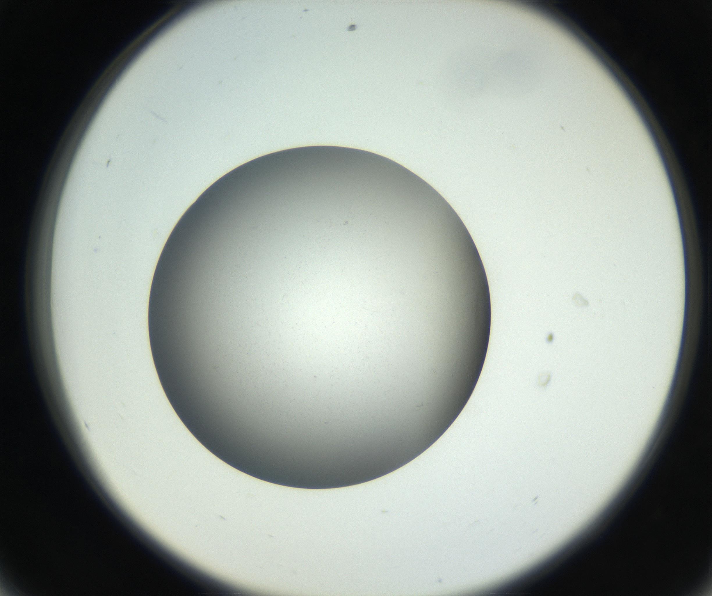 RI01_03_000_0212_Proj1_Clon1_MC_0000MC011202_010_160915_08_05_02_00_99_002_001_RAI.jpg