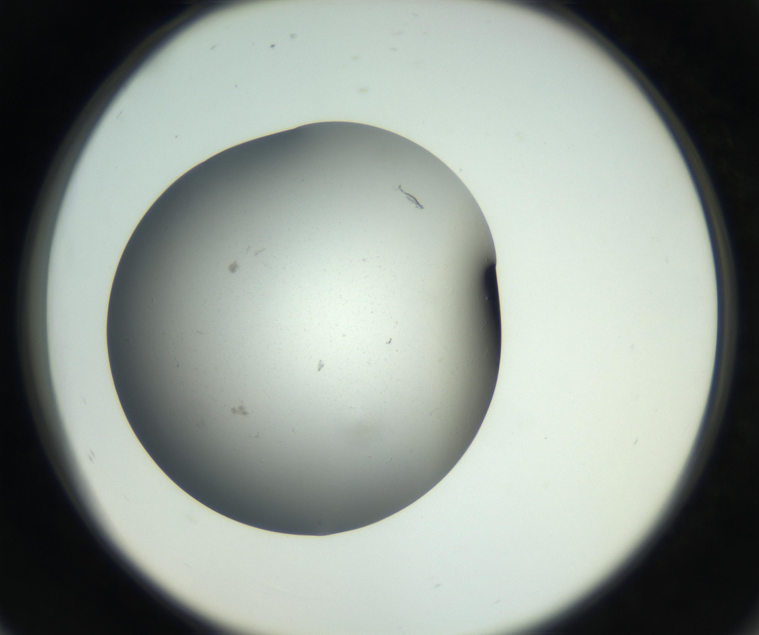 RI01_03_000_0212_Proj1_Clon1_MC_0000MC011202_010_160915_08_07_02_00_99_002_001_RAI.jpg