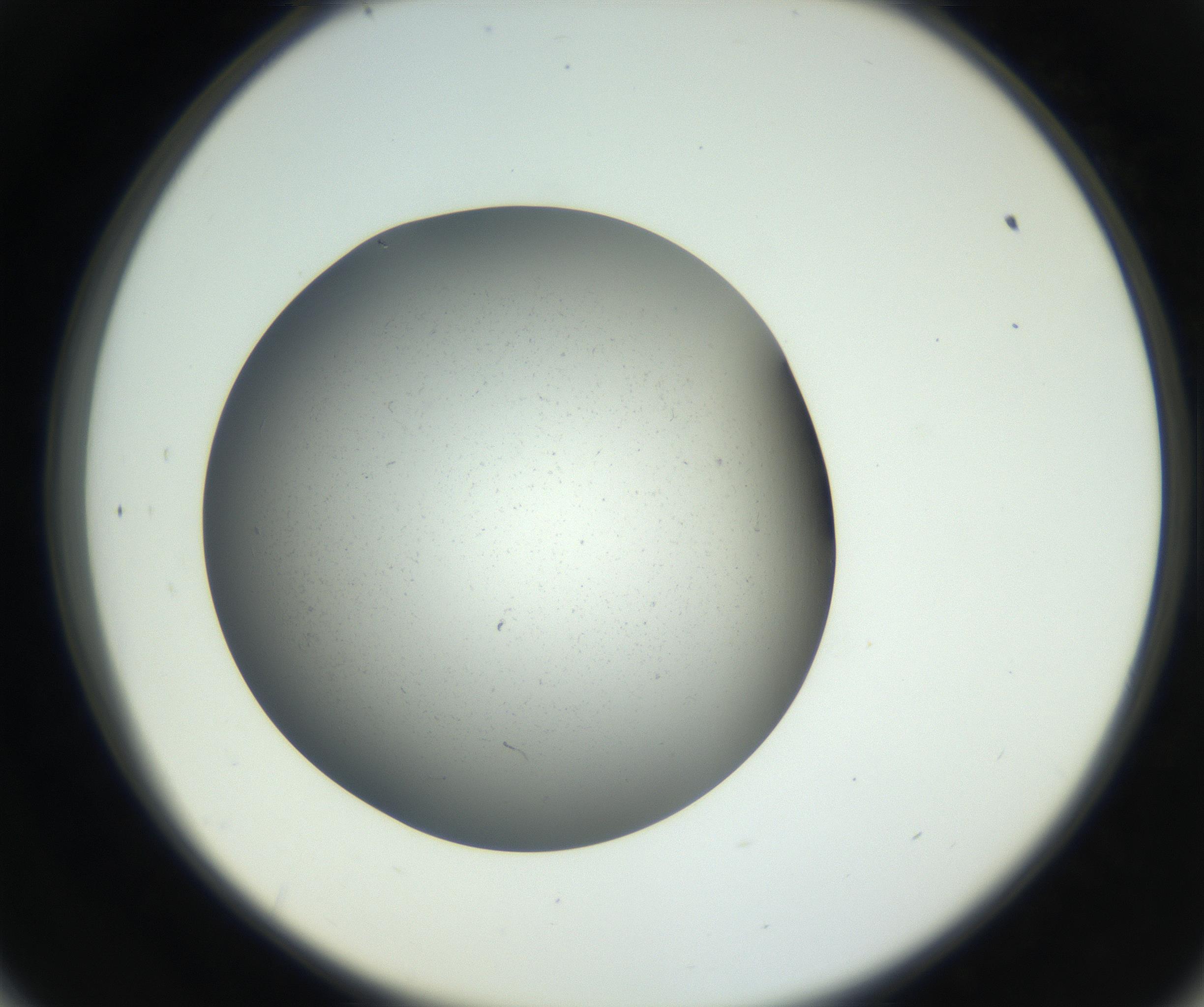 RI01_03_000_0212_Proj1_Clon1_MC_0000MC011202_010_160915_09_05_02_00_99_002_001_RAI.jpg