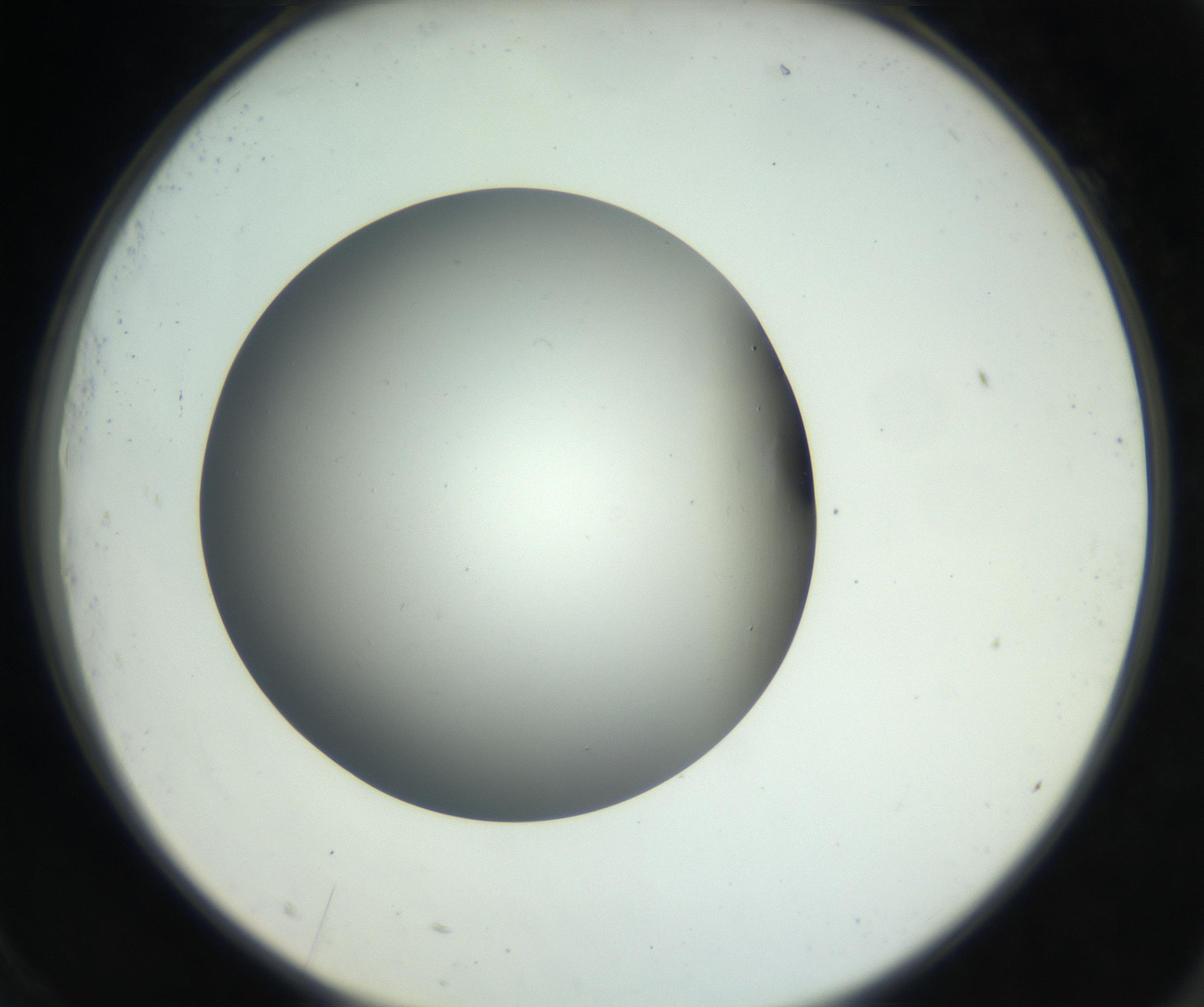 RI01_03_000_0212_Proj1_Clon1_MC_0000MC011202_010_160915_09_07_02_00_99_002_001_RAI.jpg