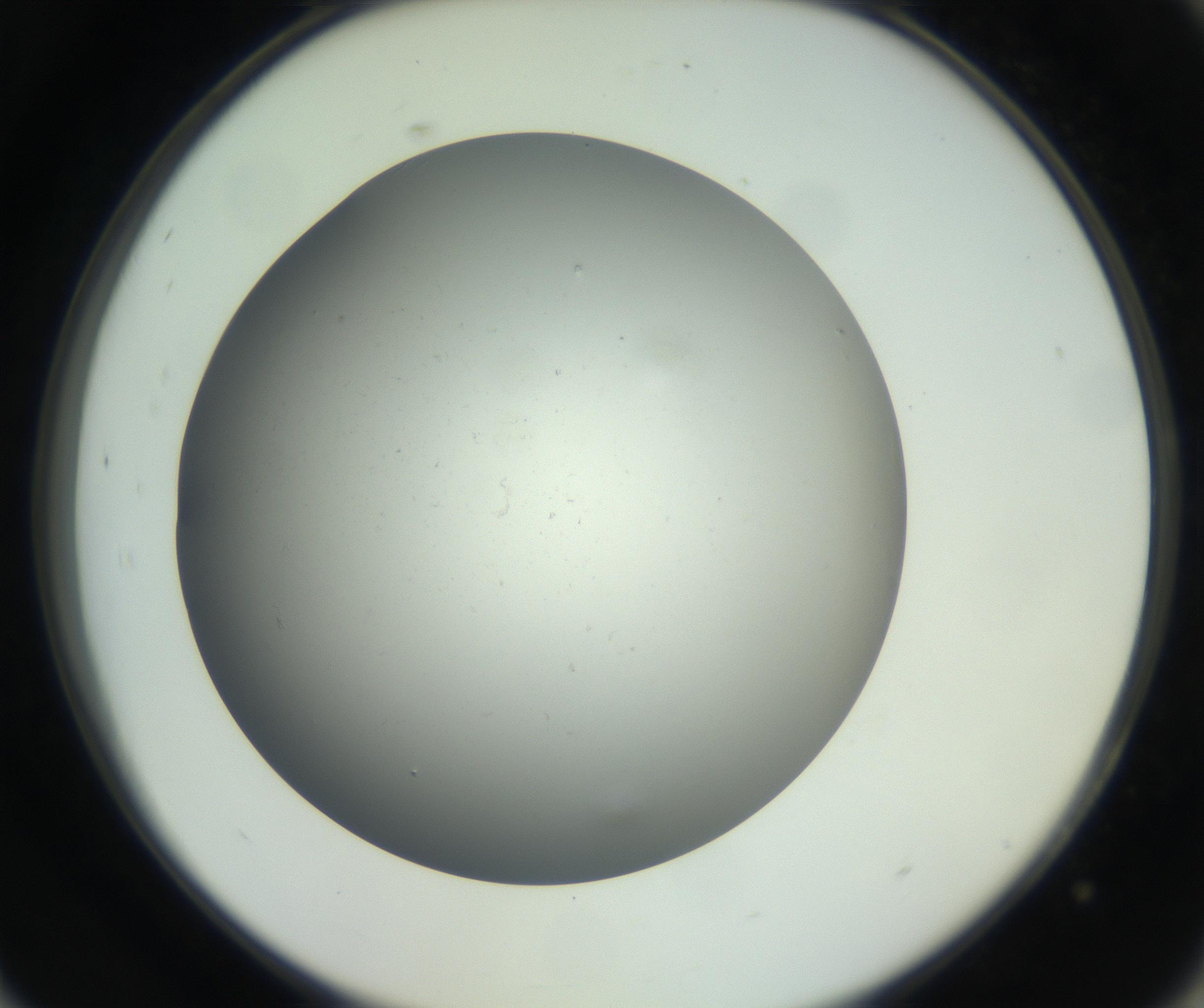 RI01_03_000_0212_Proj1_Clon1_MC_0000MC011202_010_160915_09_08_02_00_99_002_001_RAI.jpg