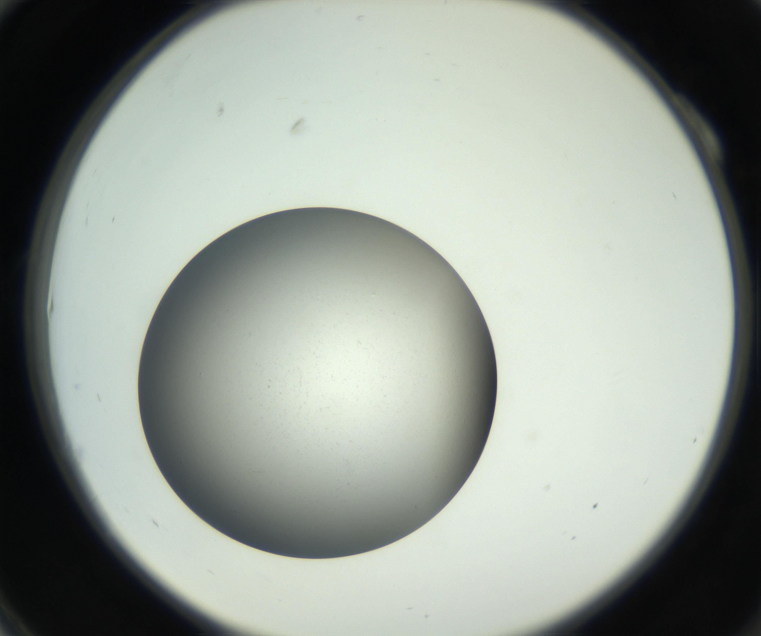 RI01_03_000_0212_Proj1_Clon1_MC_0000MC011202_010_160915_10_01_02_00_99_002_001_RAI.jpg