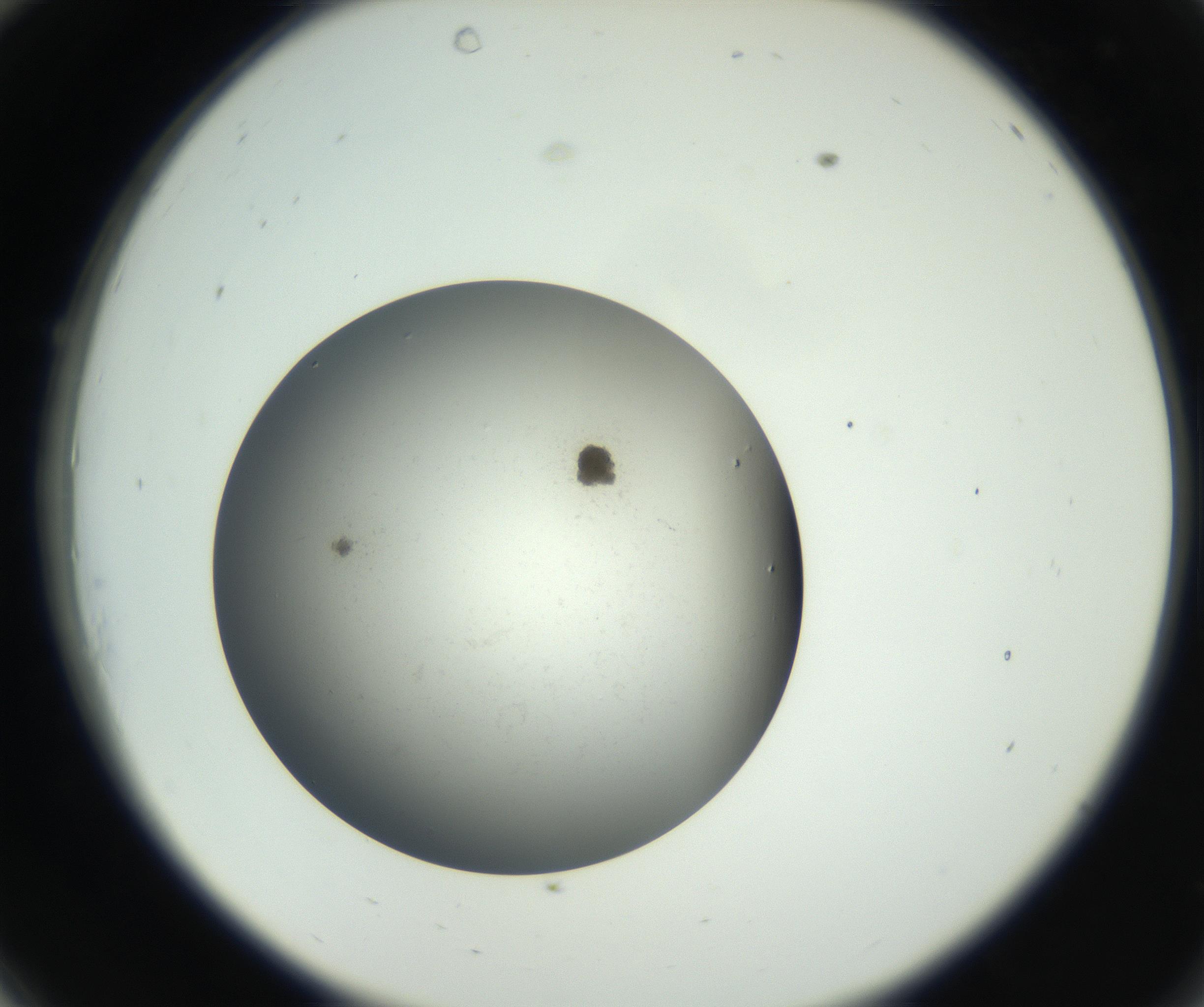 RI01_03_000_0212_Proj1_Clon1_MC_0000MC011202_010_160915_10_03_02_00_99_002_001_RAI.jpg