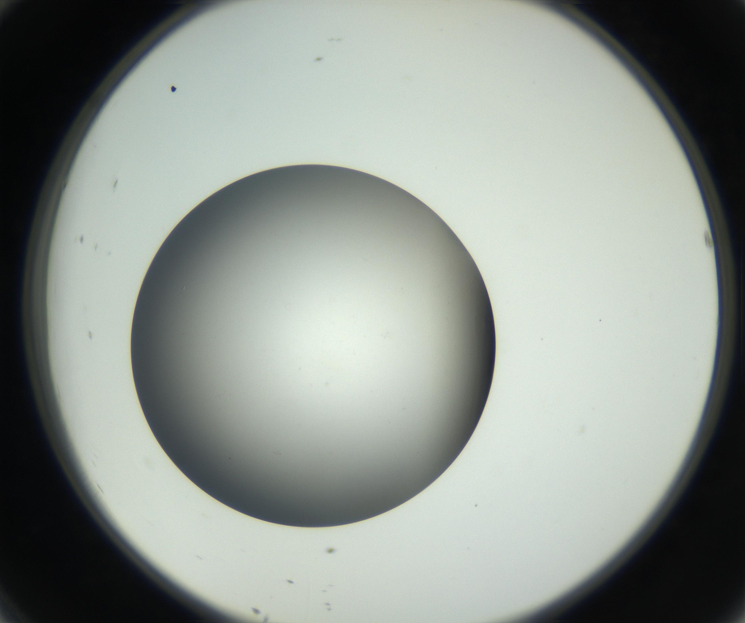 RI01_03_000_0212_Proj1_Clon1_MC_0000MC011202_010_160915_10_04_02_00_99_002_001_RAI.jpg