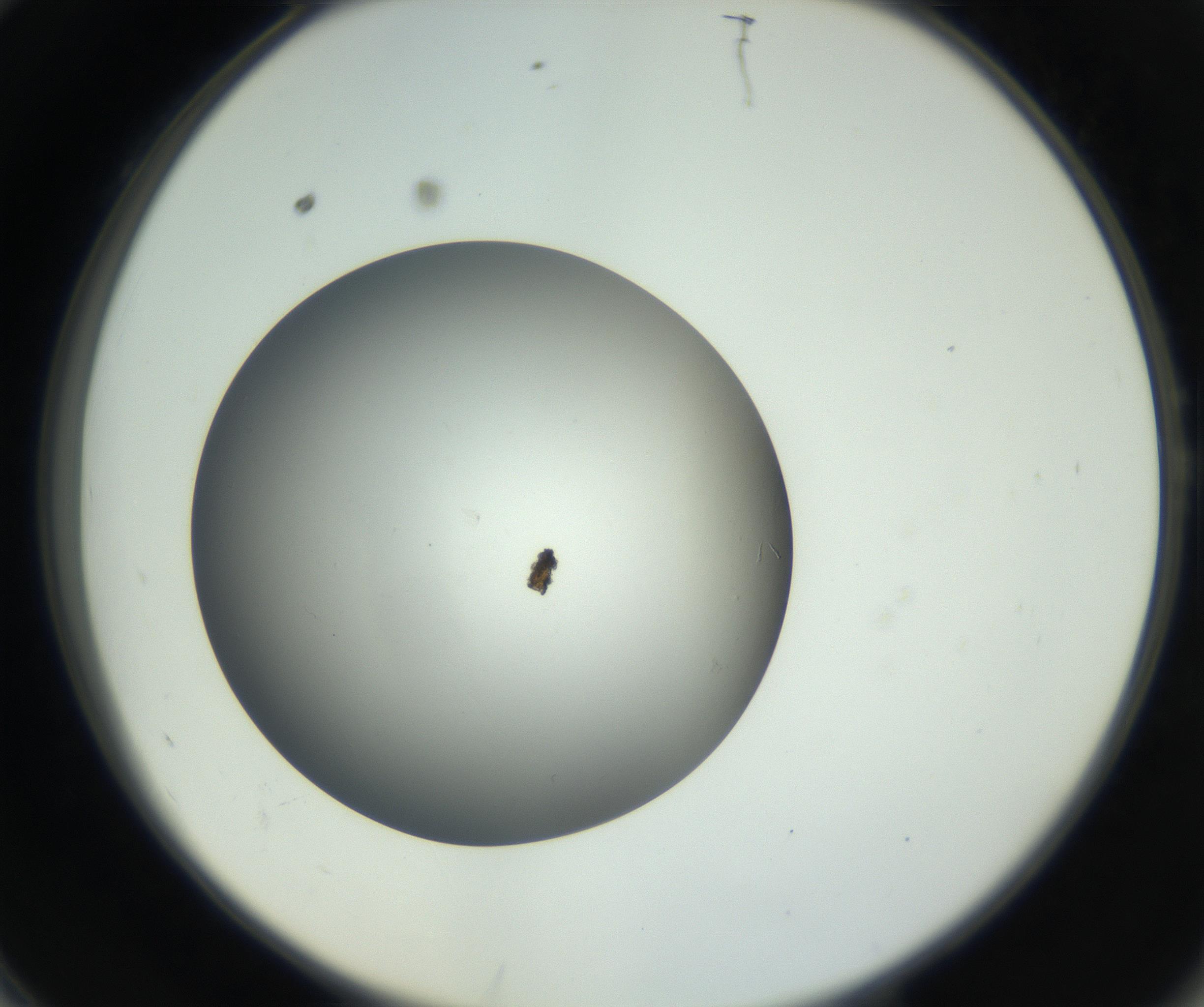 RI01_03_000_0212_Proj1_Clon1_MC_0000MC011202_010_160915_10_05_02_00_99_002_001_RAI.jpg