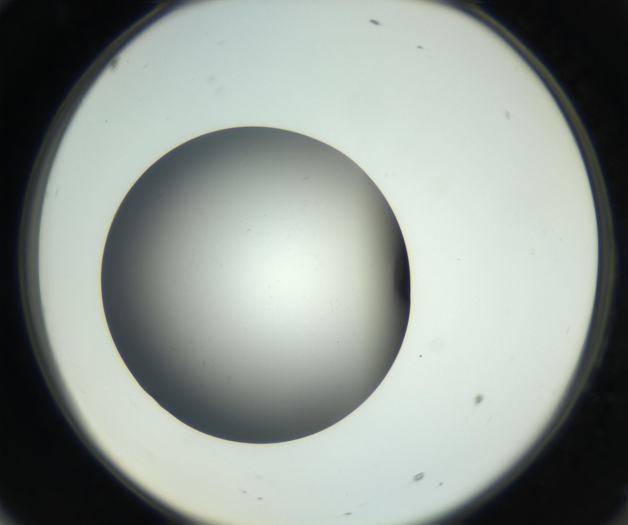RI01_03_000_0212_Proj1_Clon1_MC_0000MC011202_010_160915_10_06_02_00_99_002_001_RAI.jpg