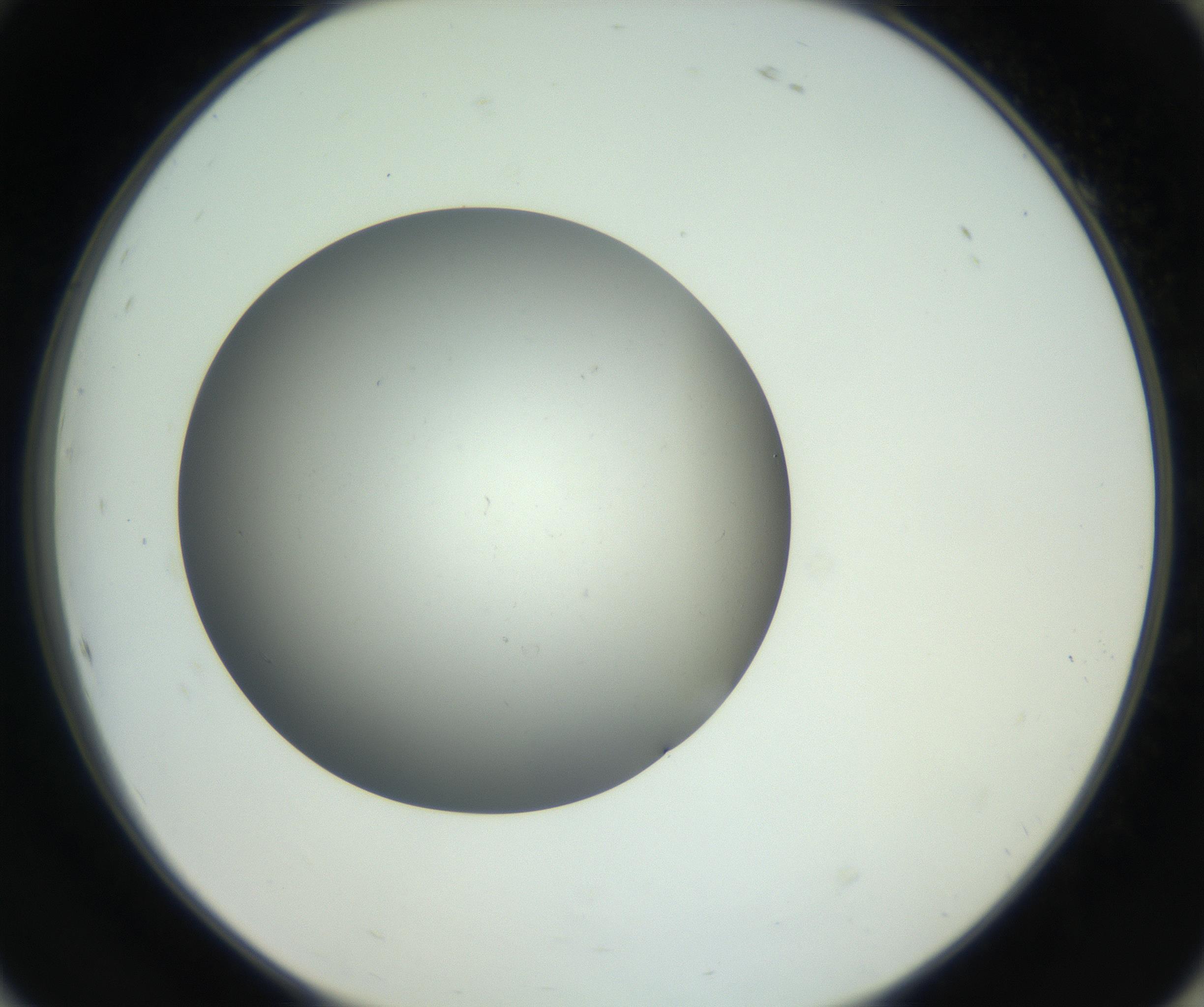 RI01_03_000_0212_Proj1_Clon1_MC_0000MC011202_010_160915_10_08_02_00_99_002_001_RAI.jpg
