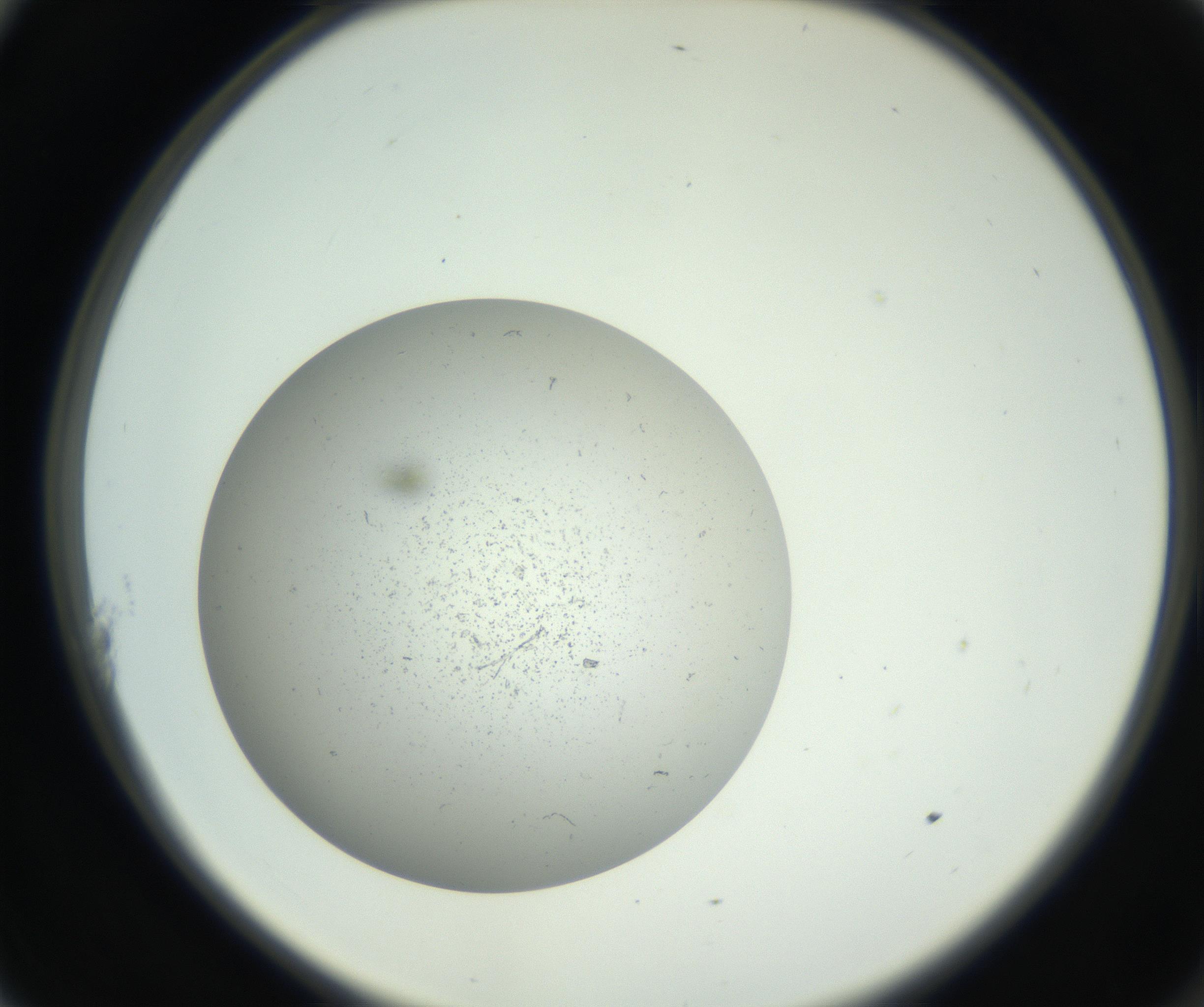 RI01_03_000_0212_Proj1_Clon1_MC_0000MC011202_010_160915_11_01_02_00_99_002_001_RAI.jpg