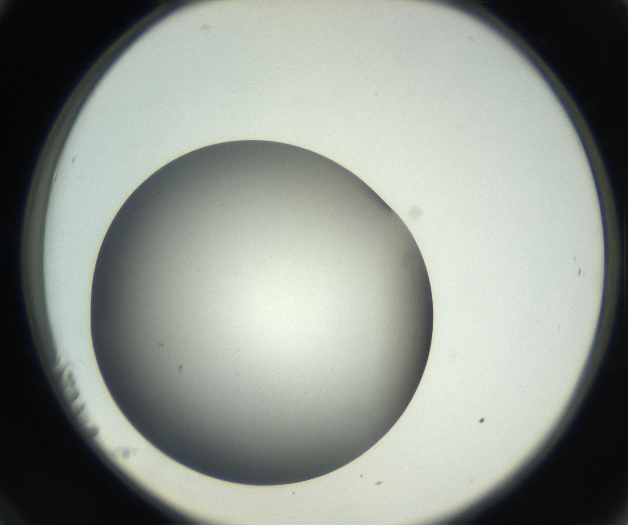 RI01_03_000_0212_Proj1_Clon1_MC_0000MC011202_010_160915_11_02_02_00_99_002_001_RAI.jpg