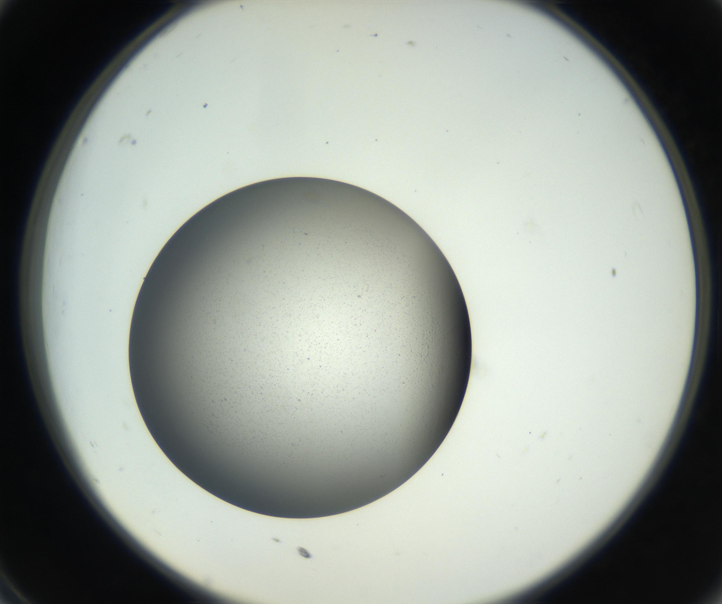 RI01_03_000_0212_Proj1_Clon1_MC_0000MC011202_010_160915_11_03_02_00_99_002_001_RAI.jpg
