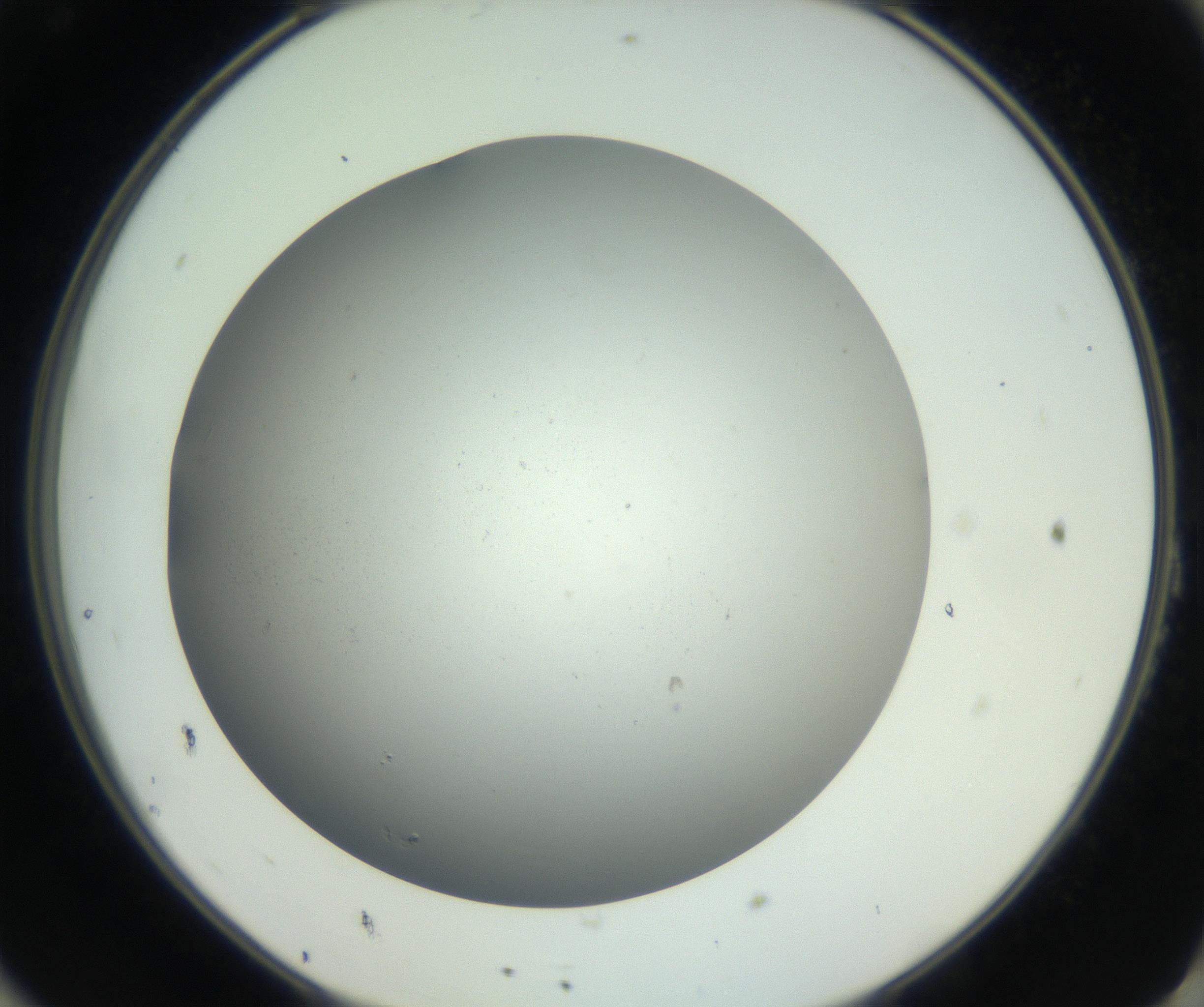 RI01_03_000_0212_Proj1_Clon1_MC_0000MC011202_010_160915_11_08_02_00_99_002_001_RAI.jpg