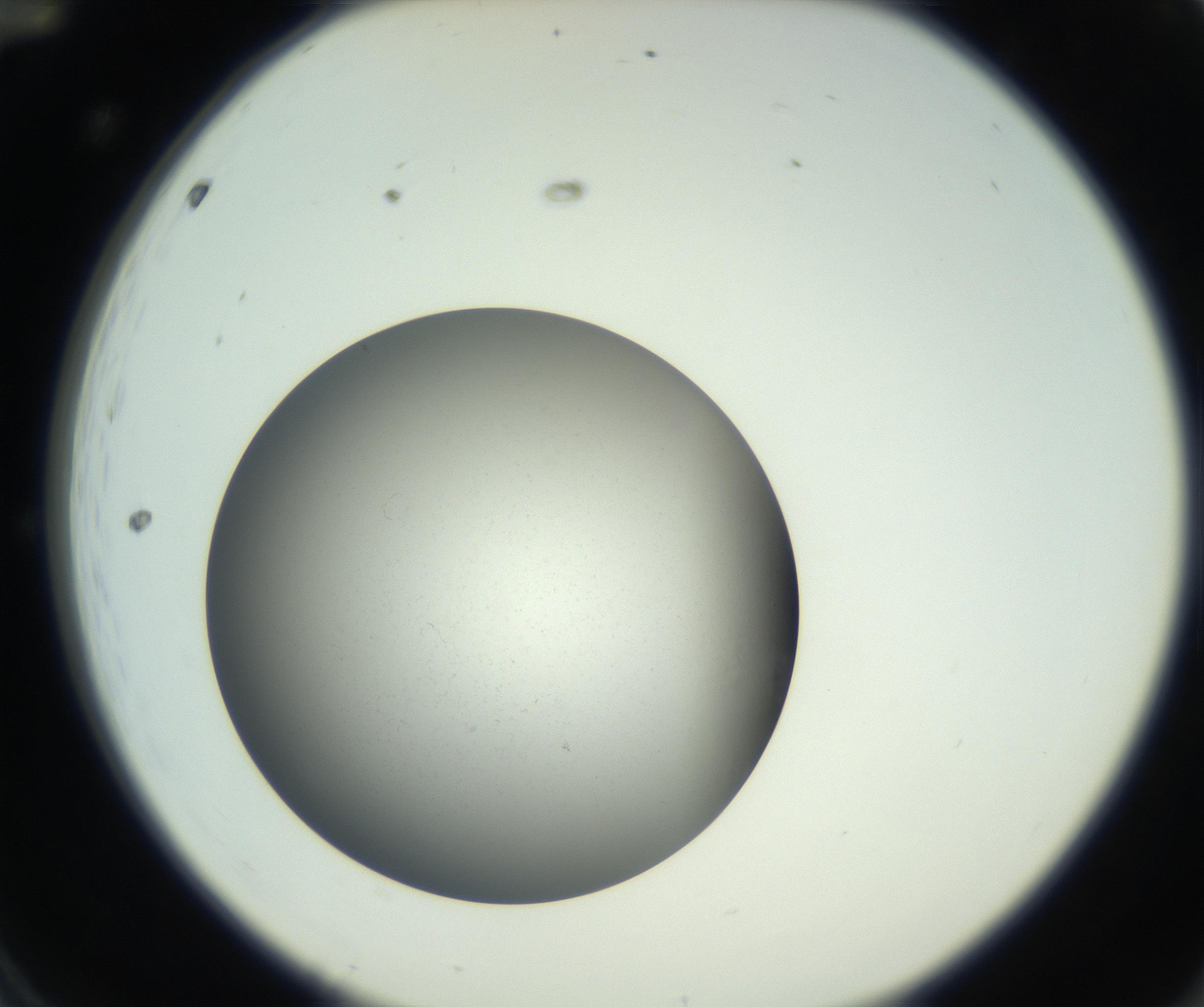 RI01_03_000_0212_Proj1_Clon1_MC_0000MC011202_010_160915_12_01_02_00_99_002_001_RAI.jpg