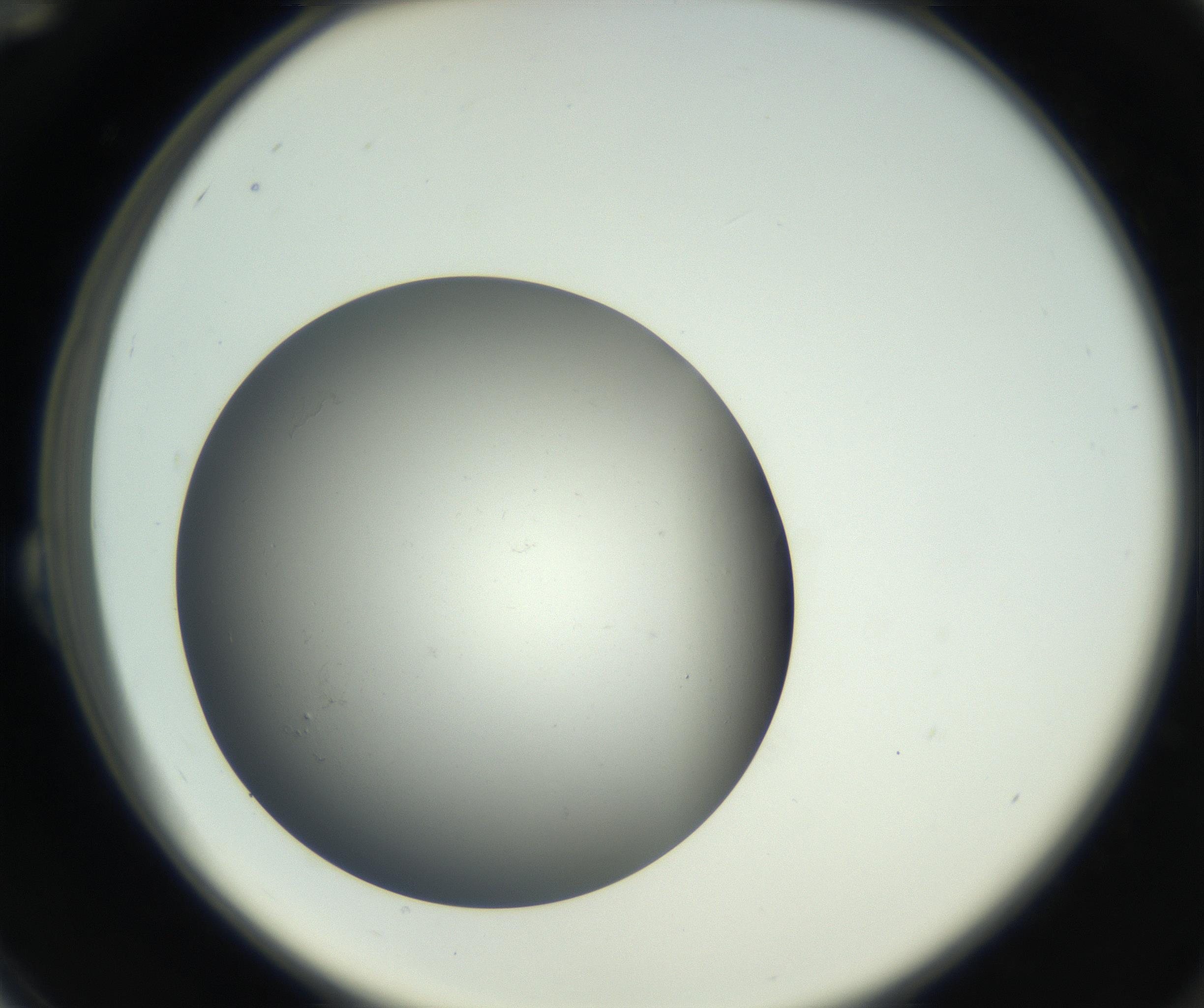 RI01_03_000_0212_Proj1_Clon1_MC_0000MC011202_010_160915_12_02_02_00_99_002_001_RAI.jpg