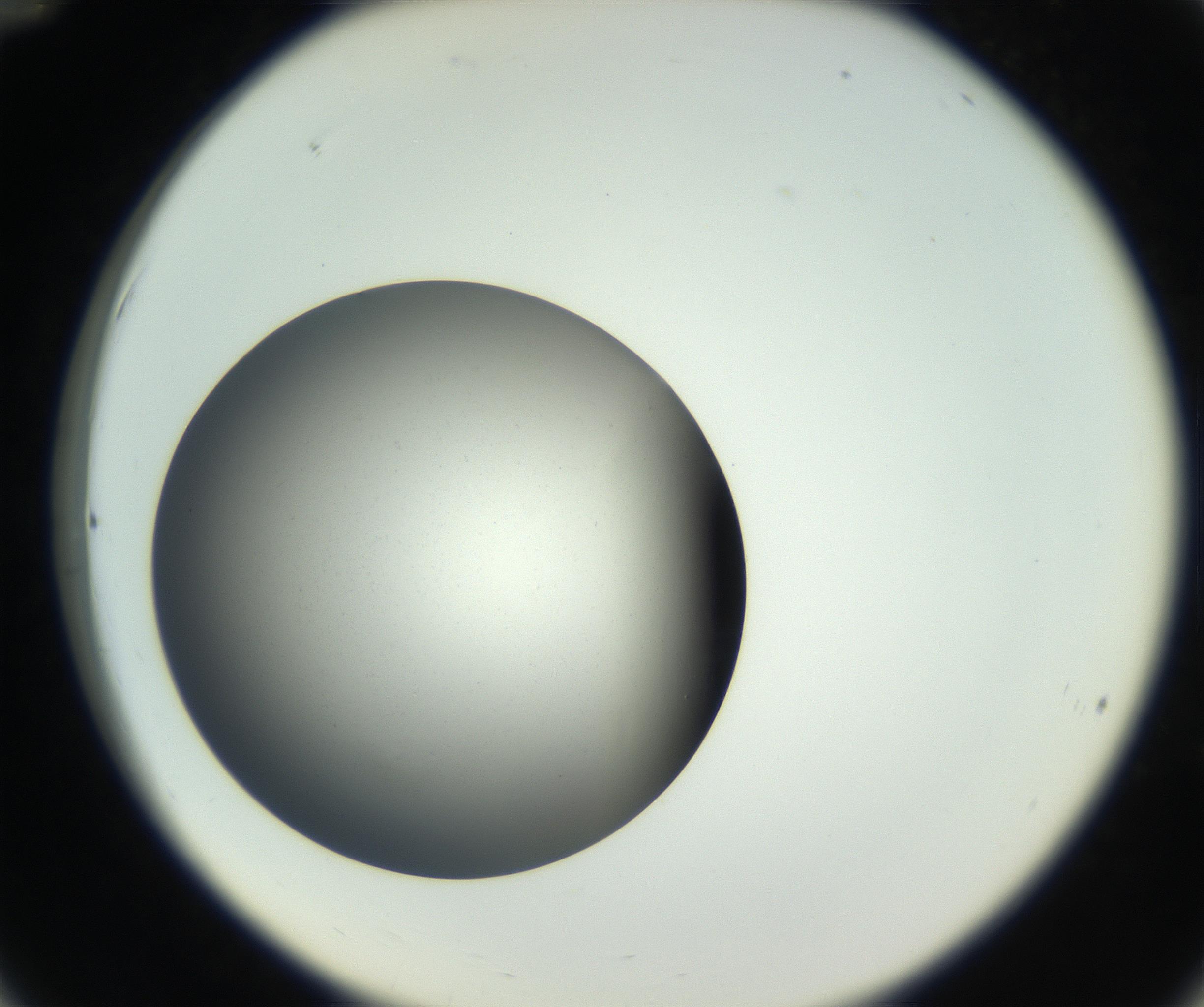 RI01_03_000_0212_Proj1_Clon1_MC_0000MC011202_010_160915_12_03_02_00_99_002_001_RAI.jpg